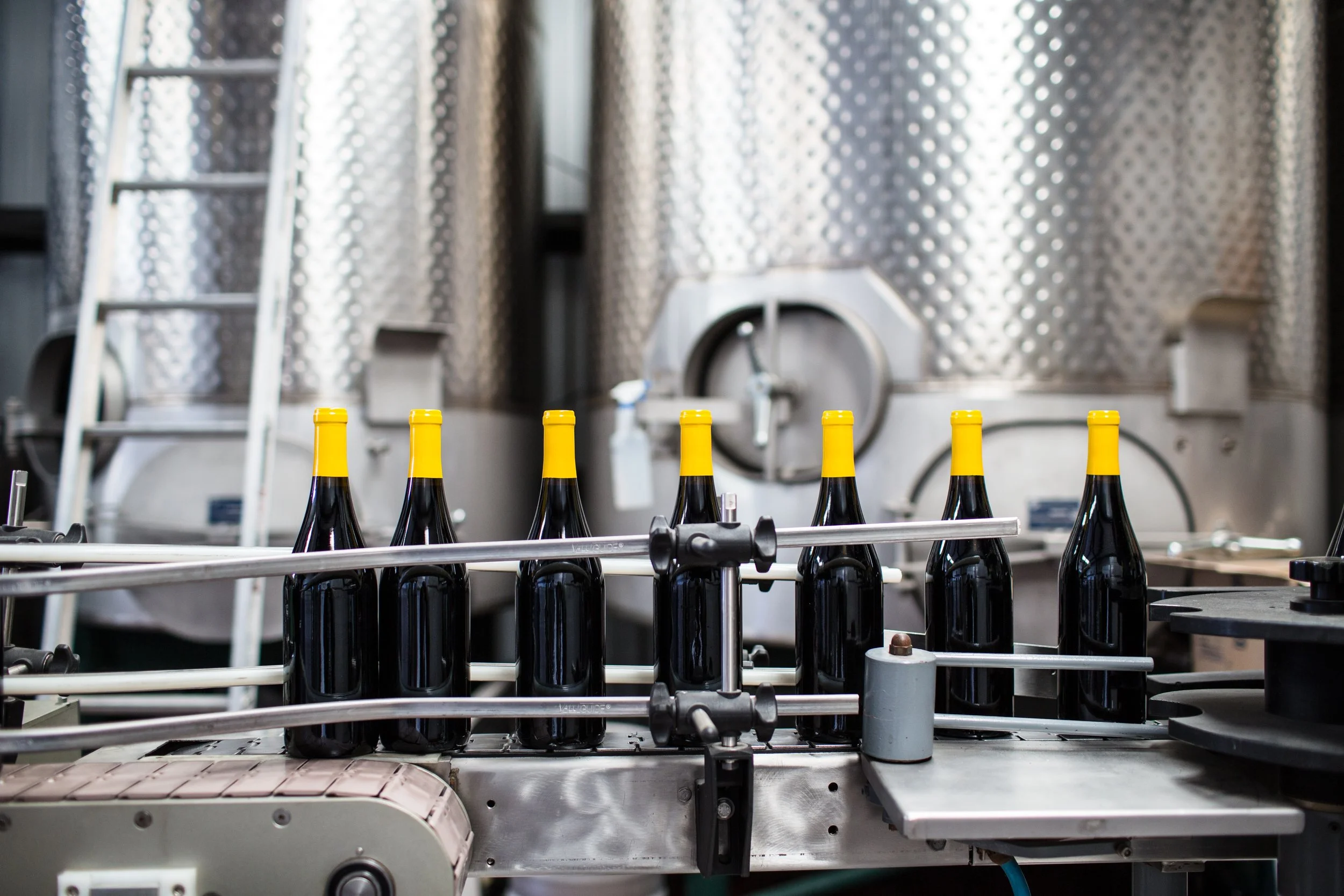 Wine bottles moving through bottling process.