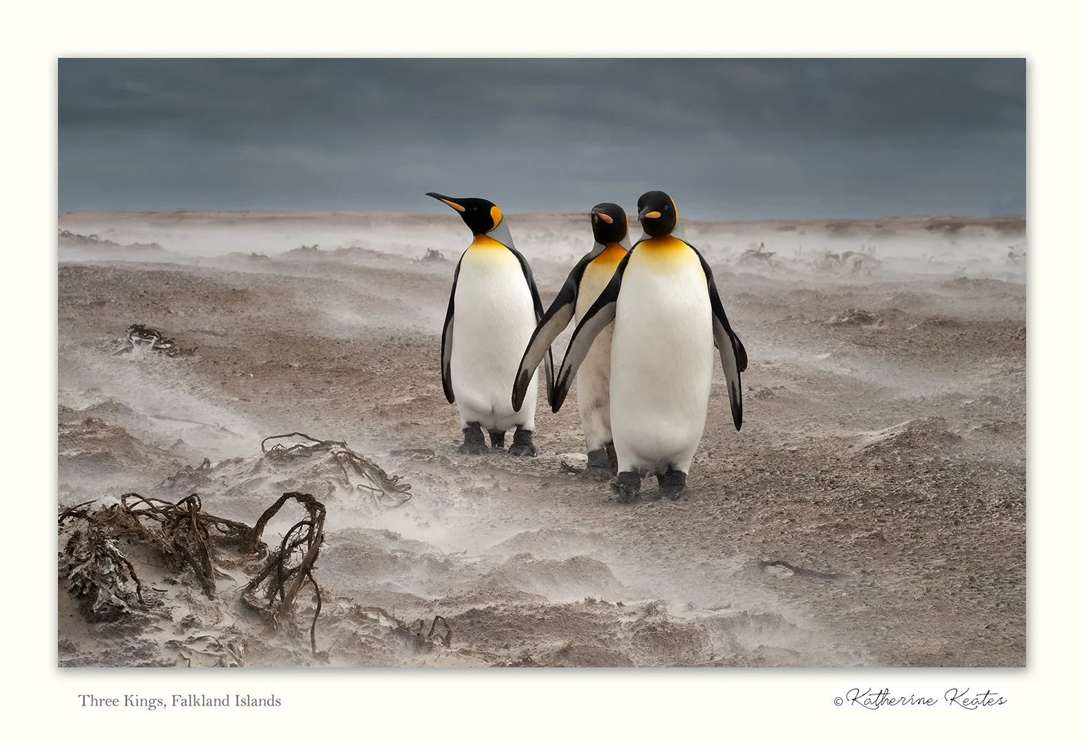 Three Kings - Copyright Katherine Keates.jpg