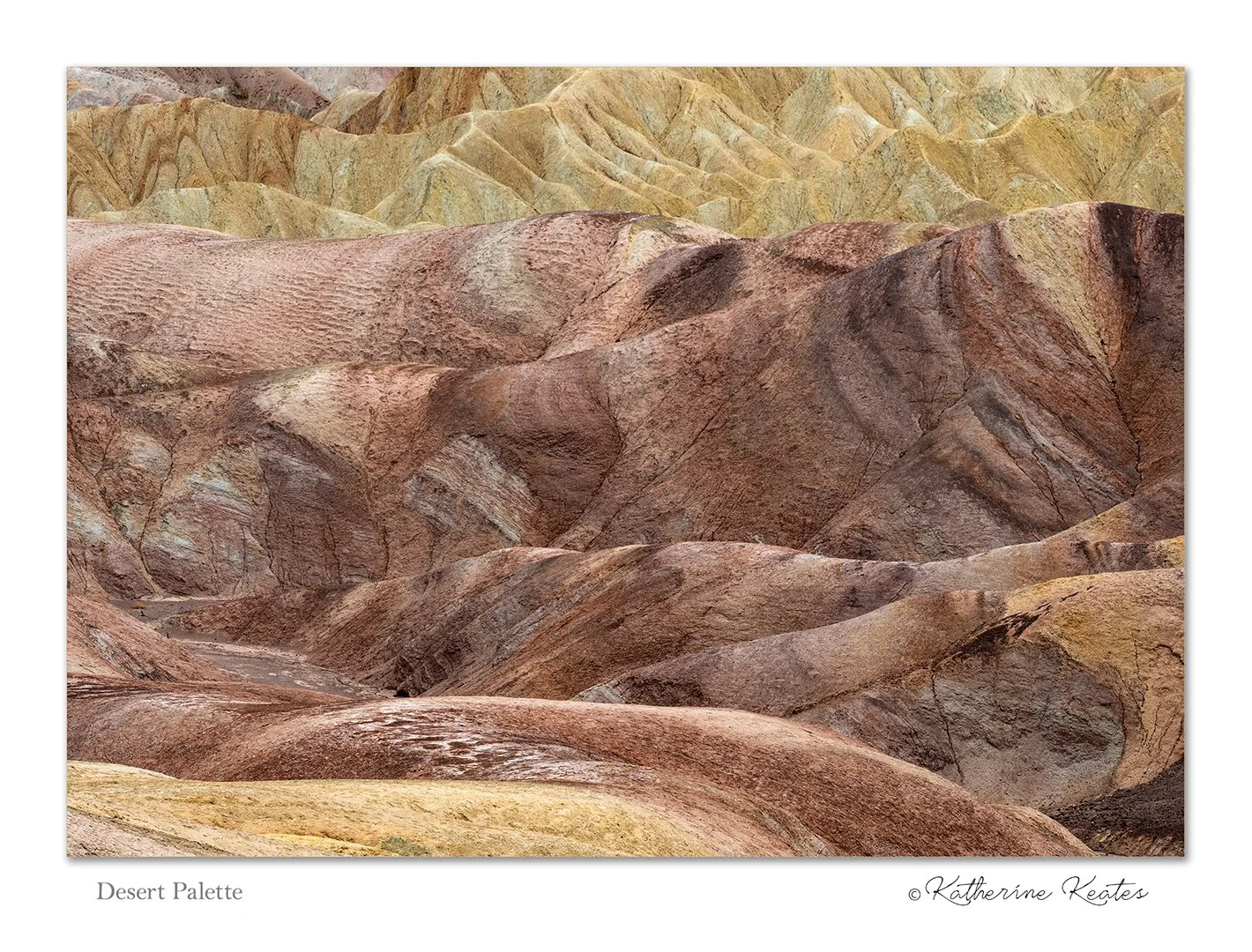 Desert Palette - Katherine Keaters.jpg