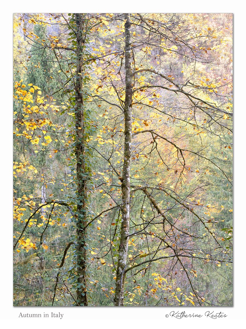 Autumn in Italy - Katherine Keates.jpg