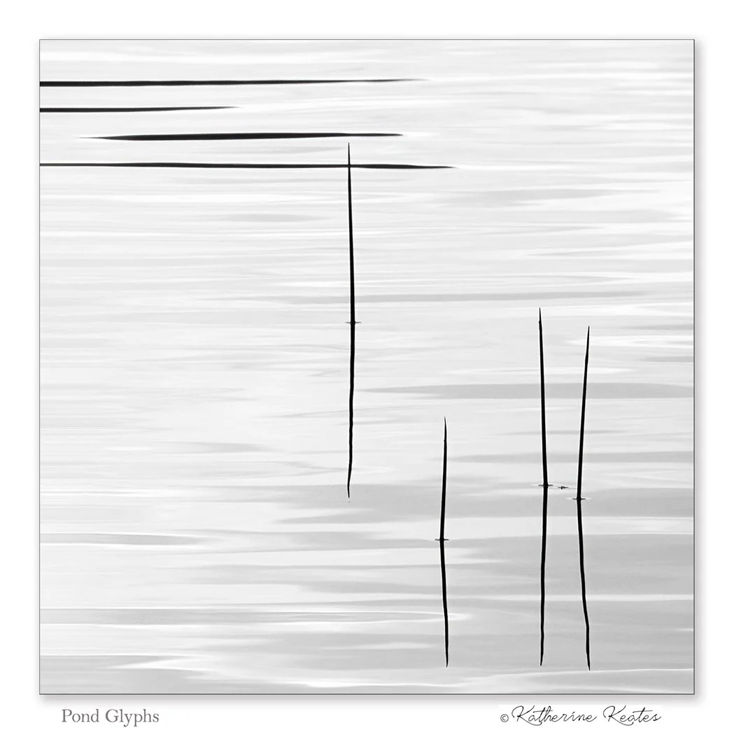 Pond Glyphs - Katherine Keates.jpg