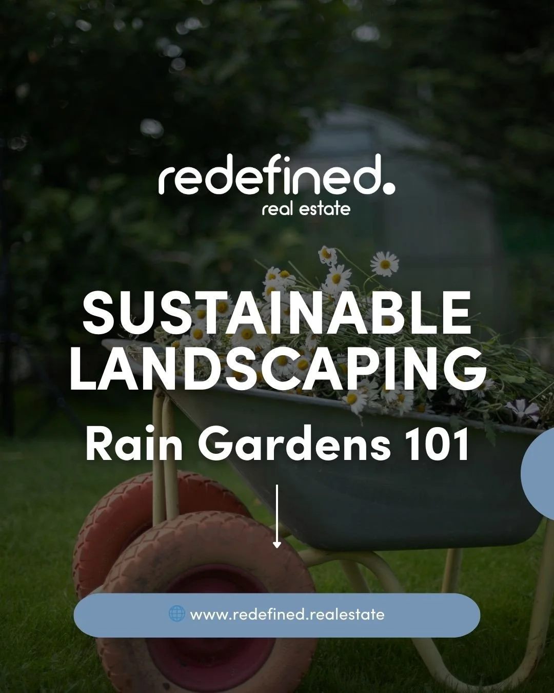 Rain in the forecast ☔... ever heard of a rain garden?⁠
⁠
They are a beautiful and eco friendly way homeowners can manage stormwater runoff while adding native plants and pollinator friendly landscaping to their yard.⁠
⁠
It is a simple upgrade that c