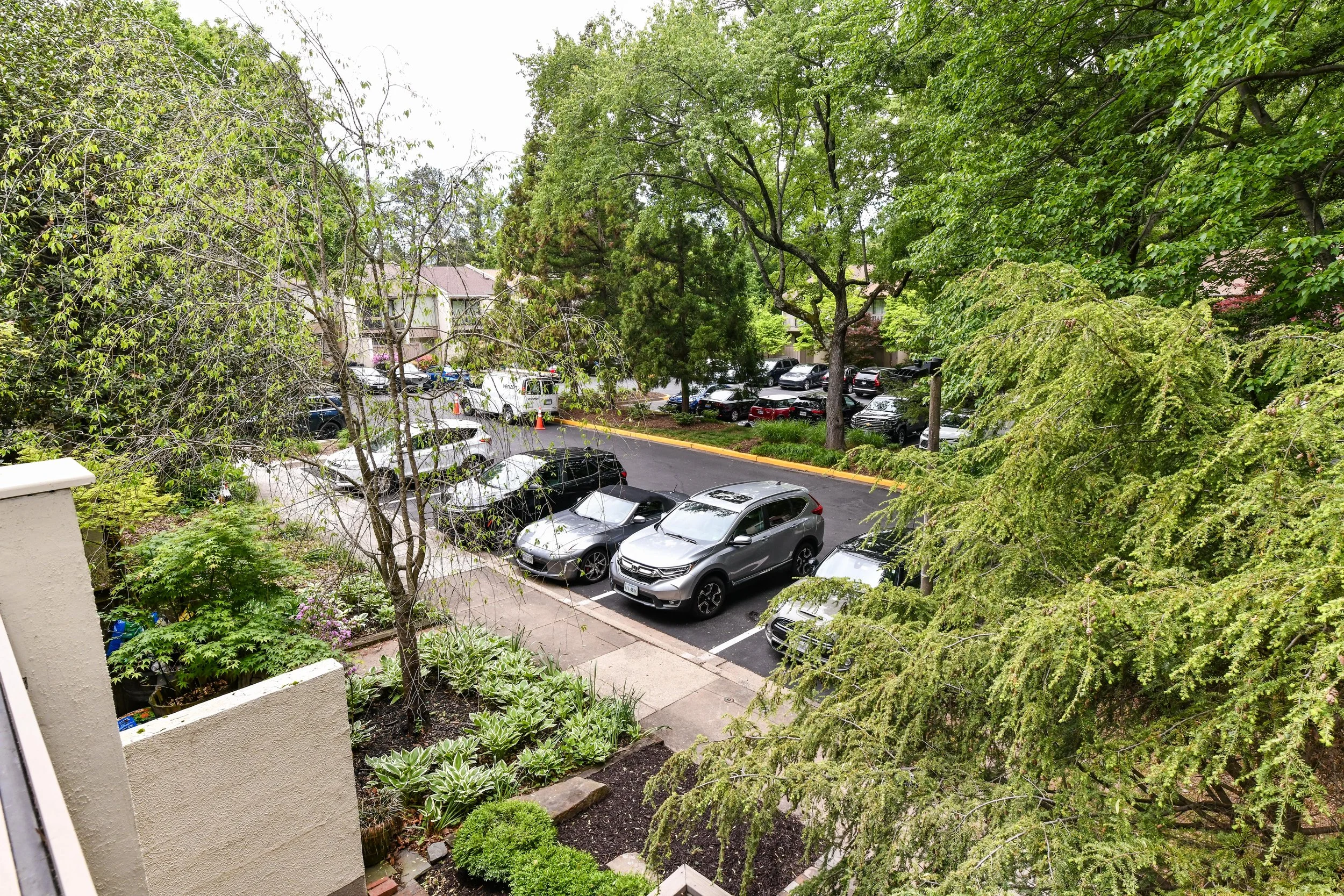 DSC_4479.jpg
