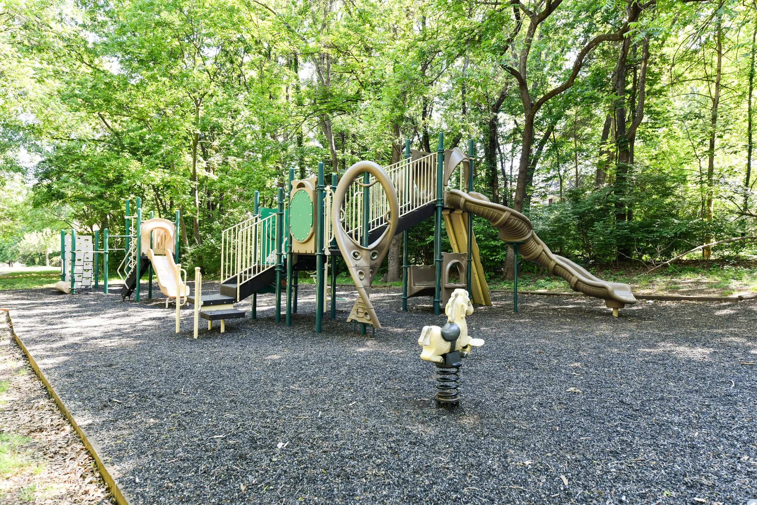 DSC_4648.jpg