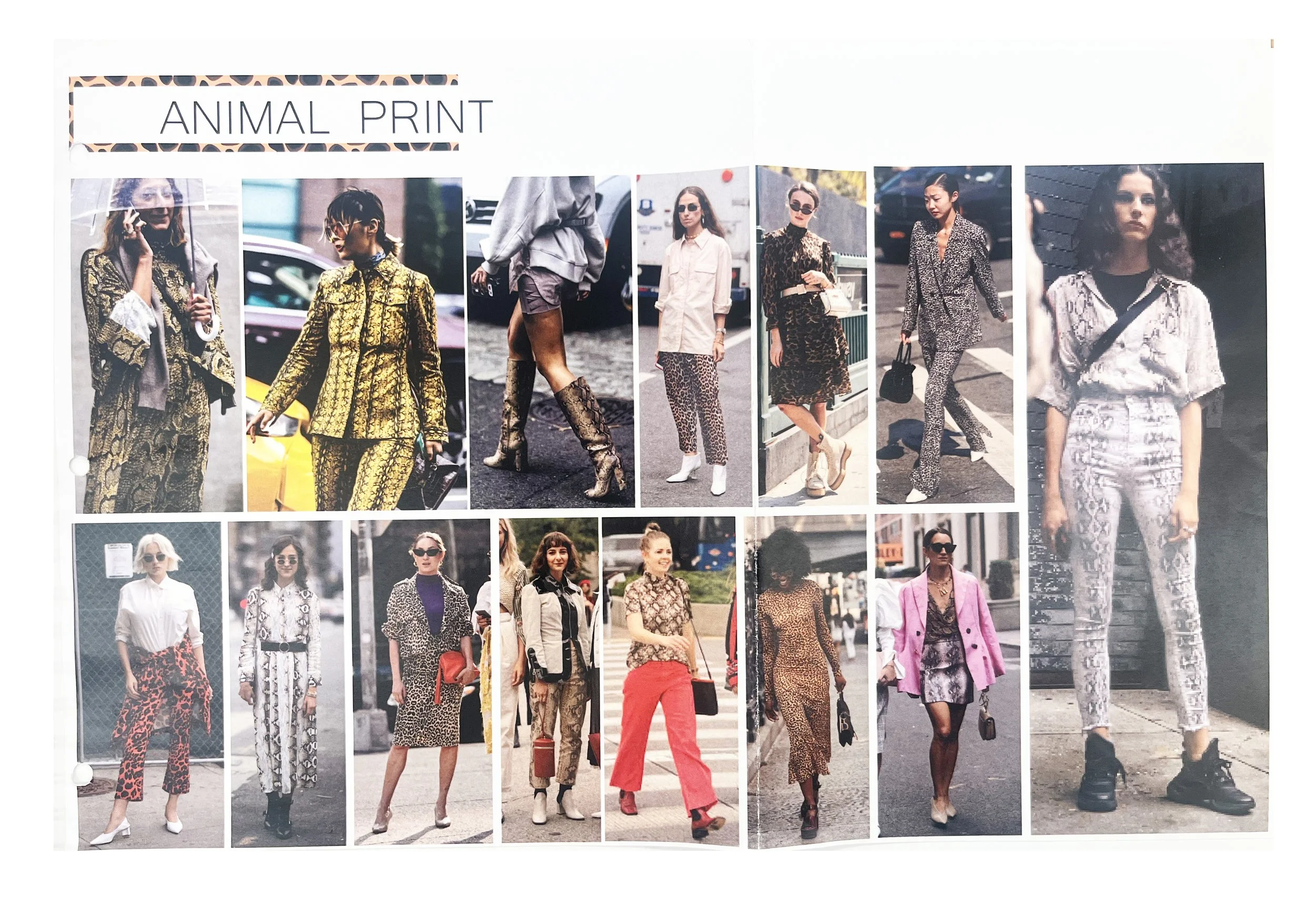ANIMALPRINT.jpg
