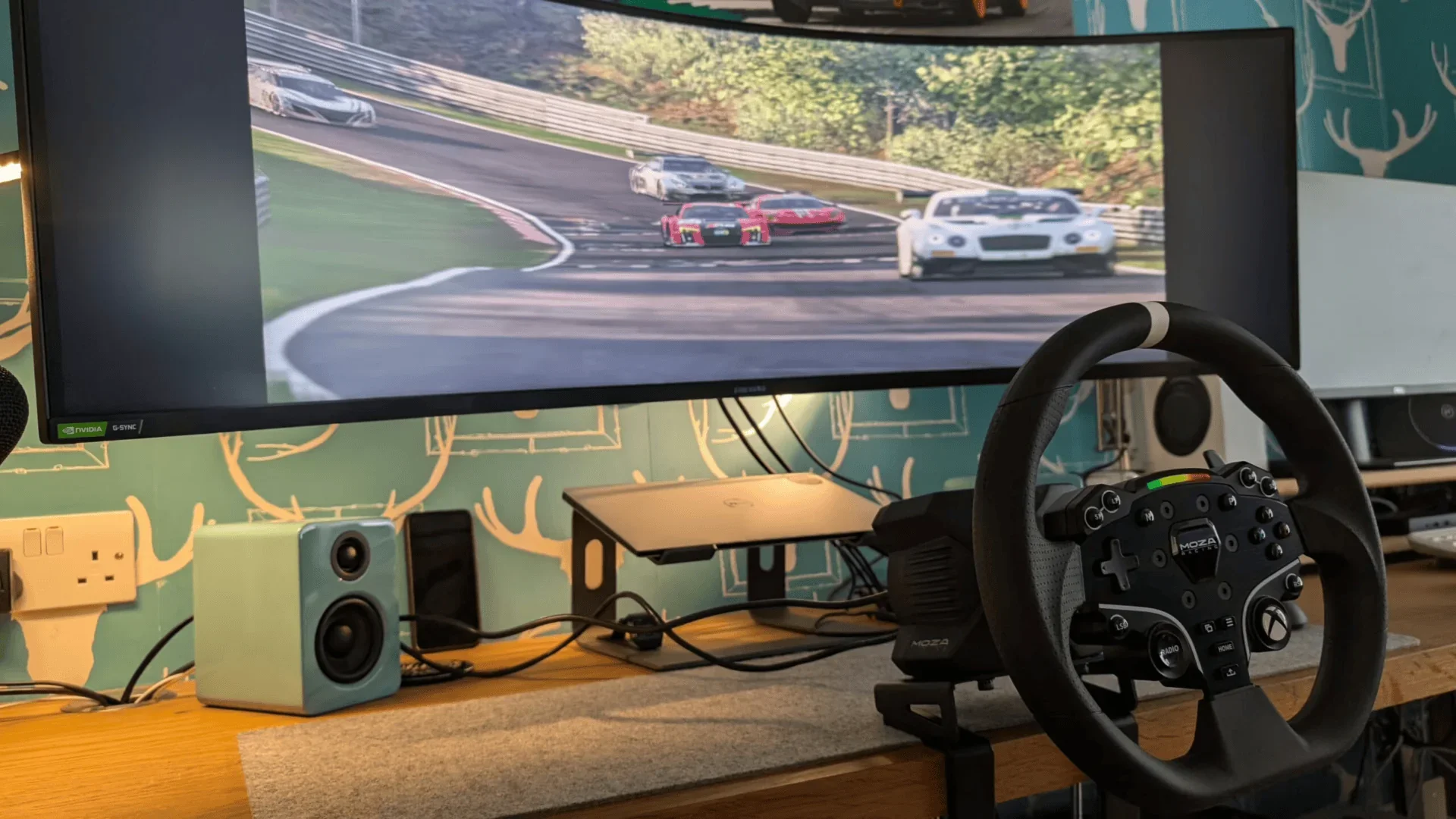 Esports Boom: MOZA Racing's 2025 Series and BMW-iRacing Collaboration