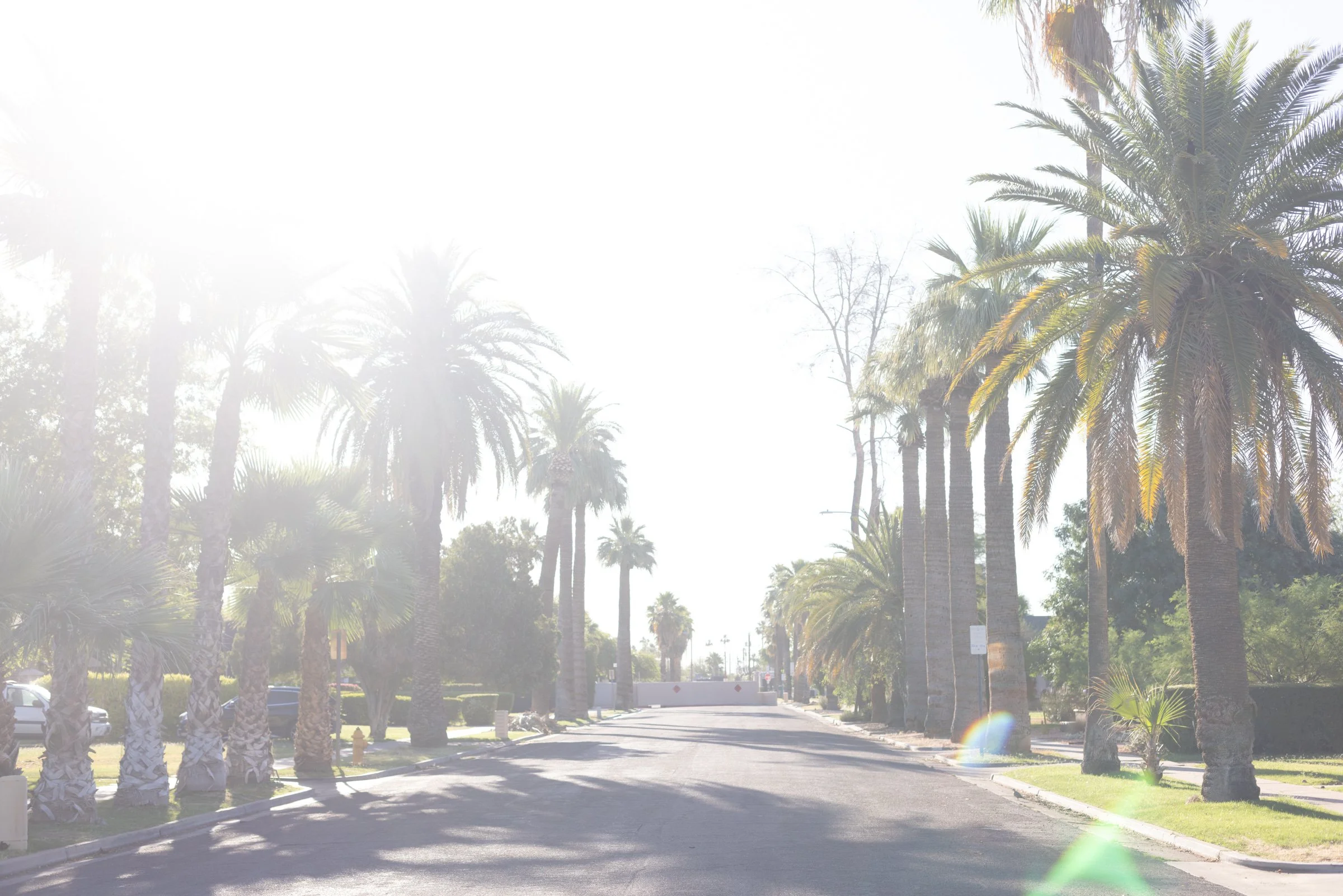 Gilbert vs Chandler vs Mesa: Where Should You Make Your Move in 2025?