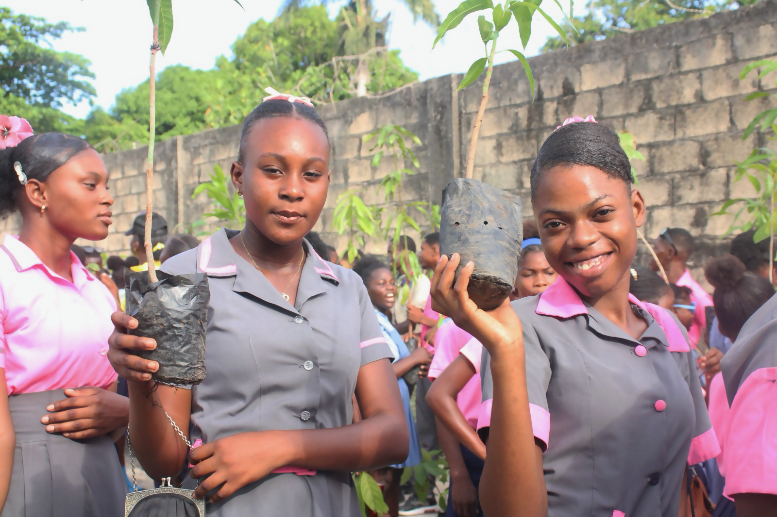 Two girls in grey and pink school uniforms holding up a small tree ready to be planted in Haiti