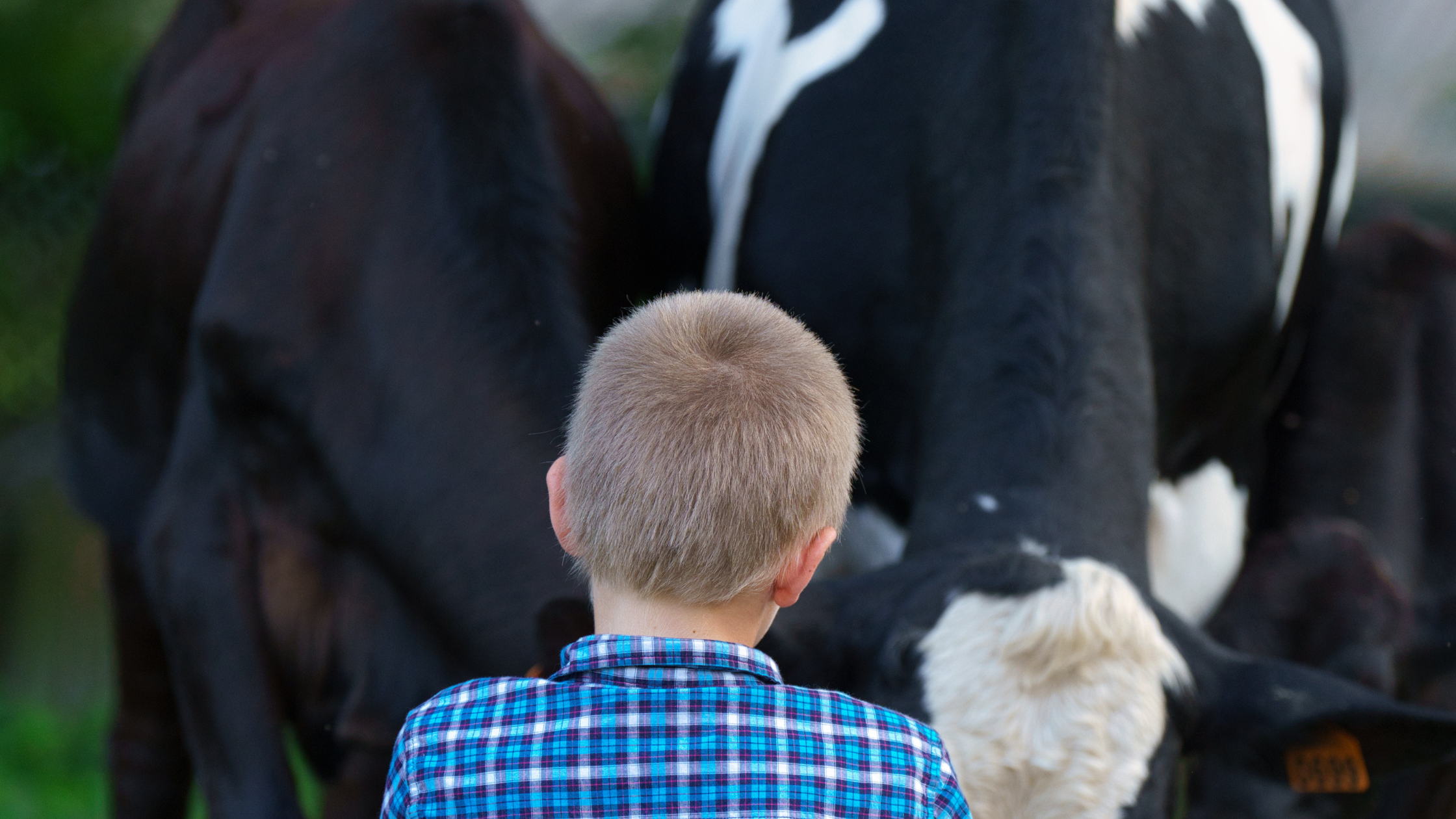 Raising Ag-Strong Kids in a Grocery Store Generation.