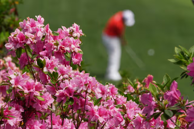 Ag on Display: The Hidden Work Behind the Masters