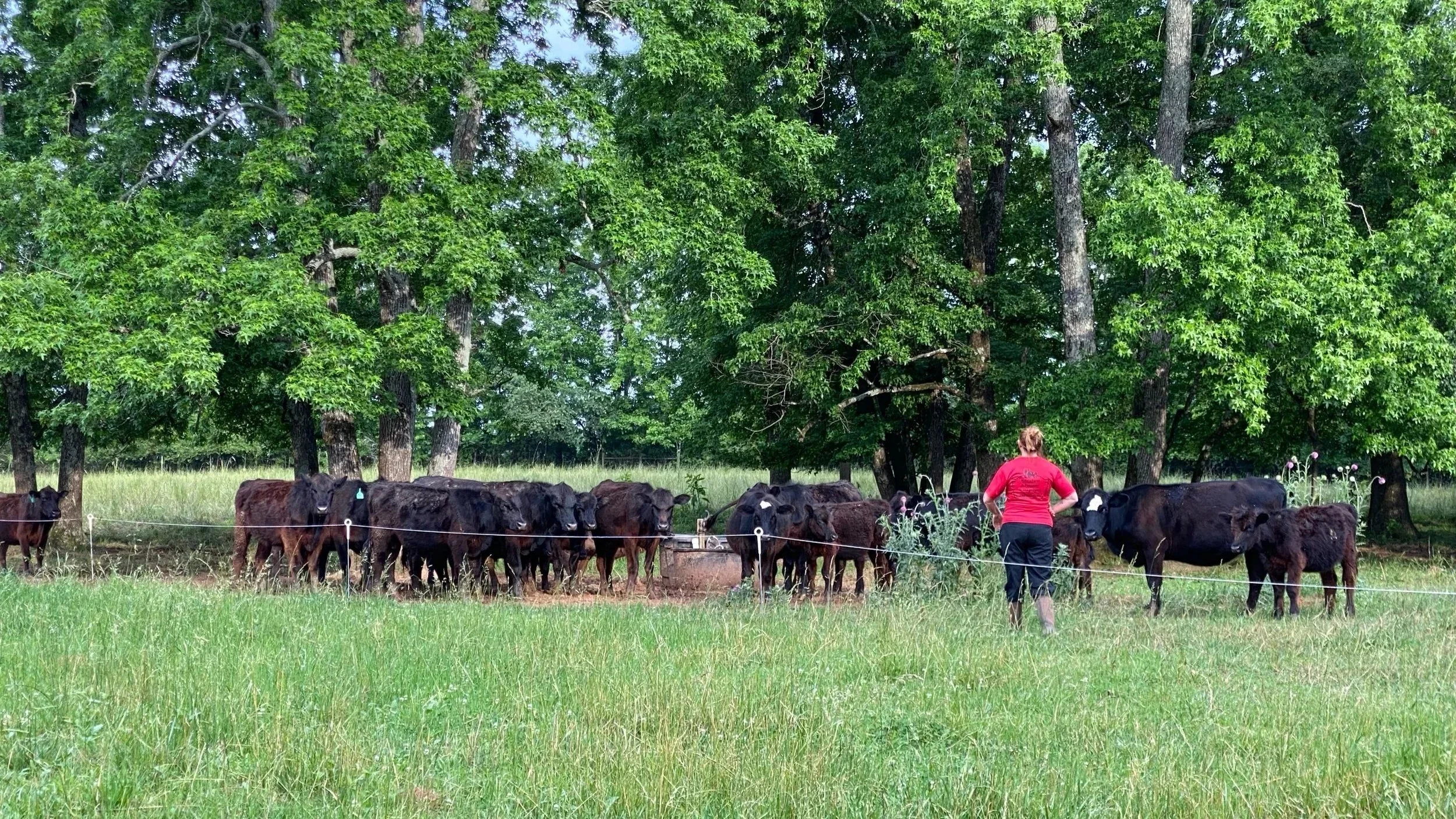 “Product of USA”: A Meaningful Step Forward for Women in Beef Production