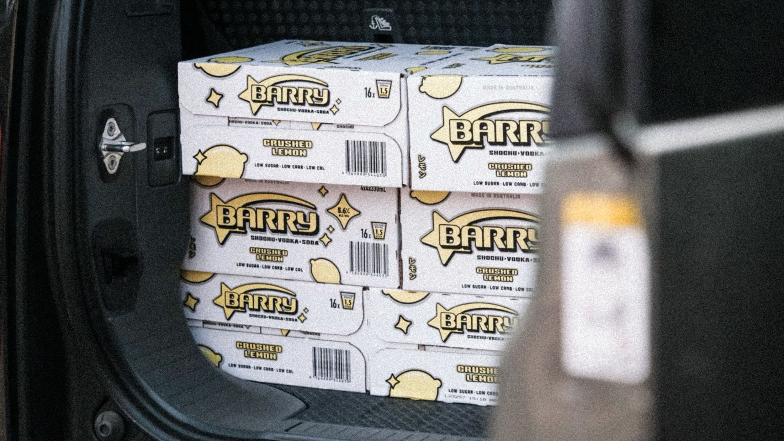 BARRY_Cartons.jpg