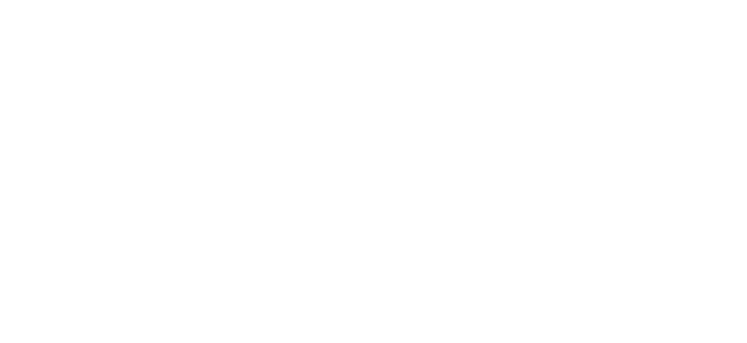 Gamma State Data Co.