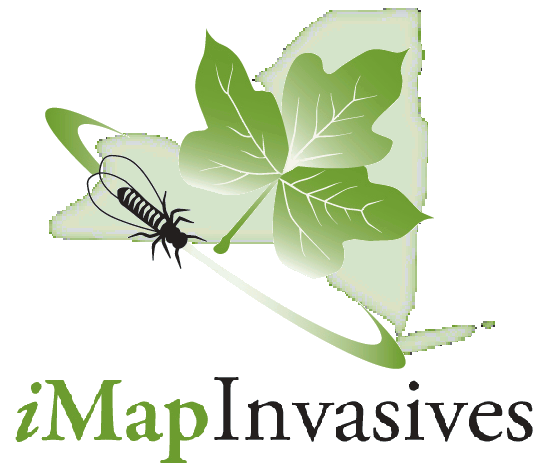 Reporting Invasives with iMapInvasives