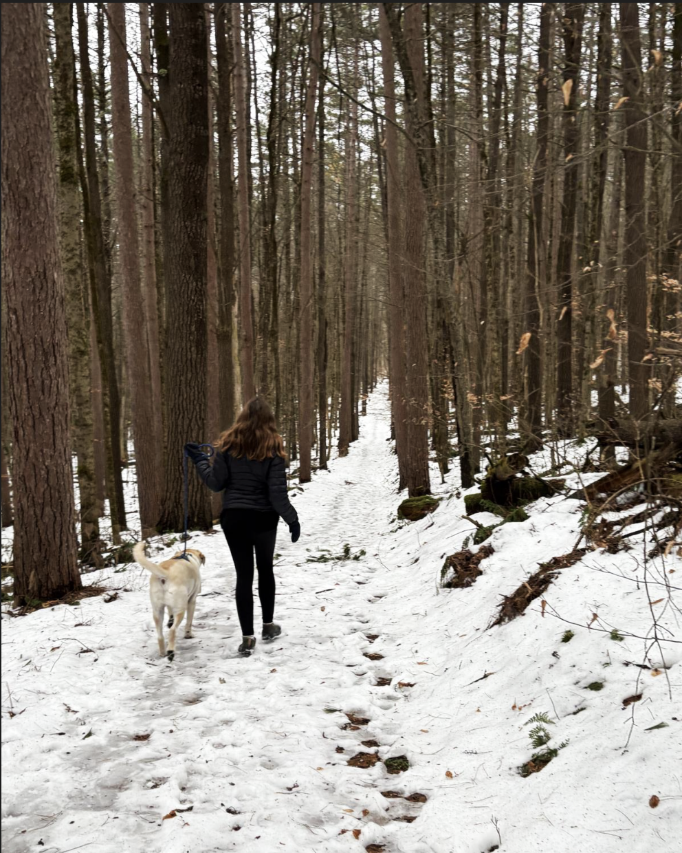 Local Trails: A Public Listening Session