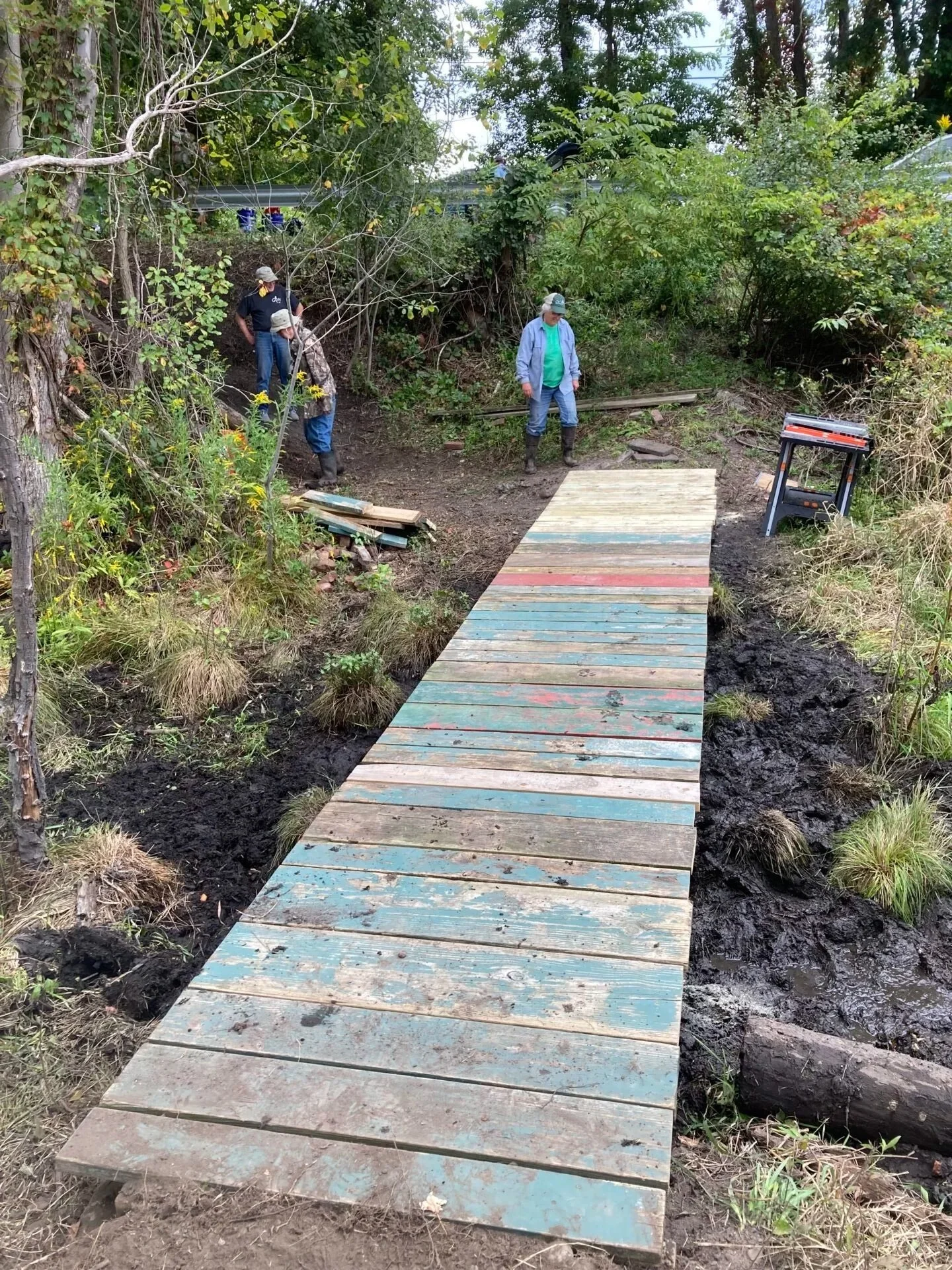 Invasive and Woody Plant ID for Trail Builders