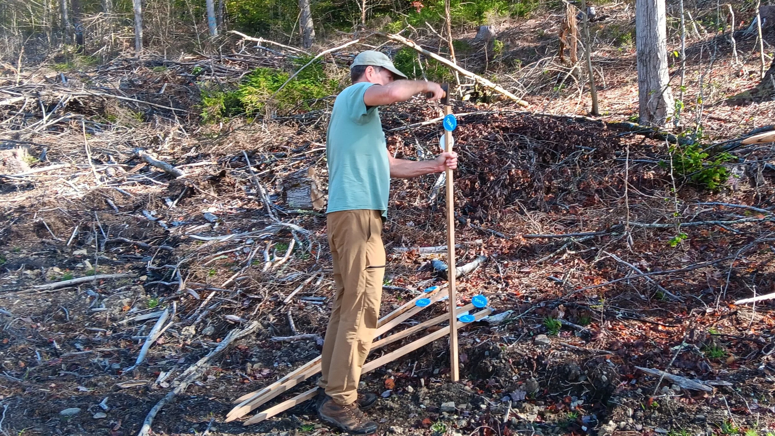 Trail Work Day