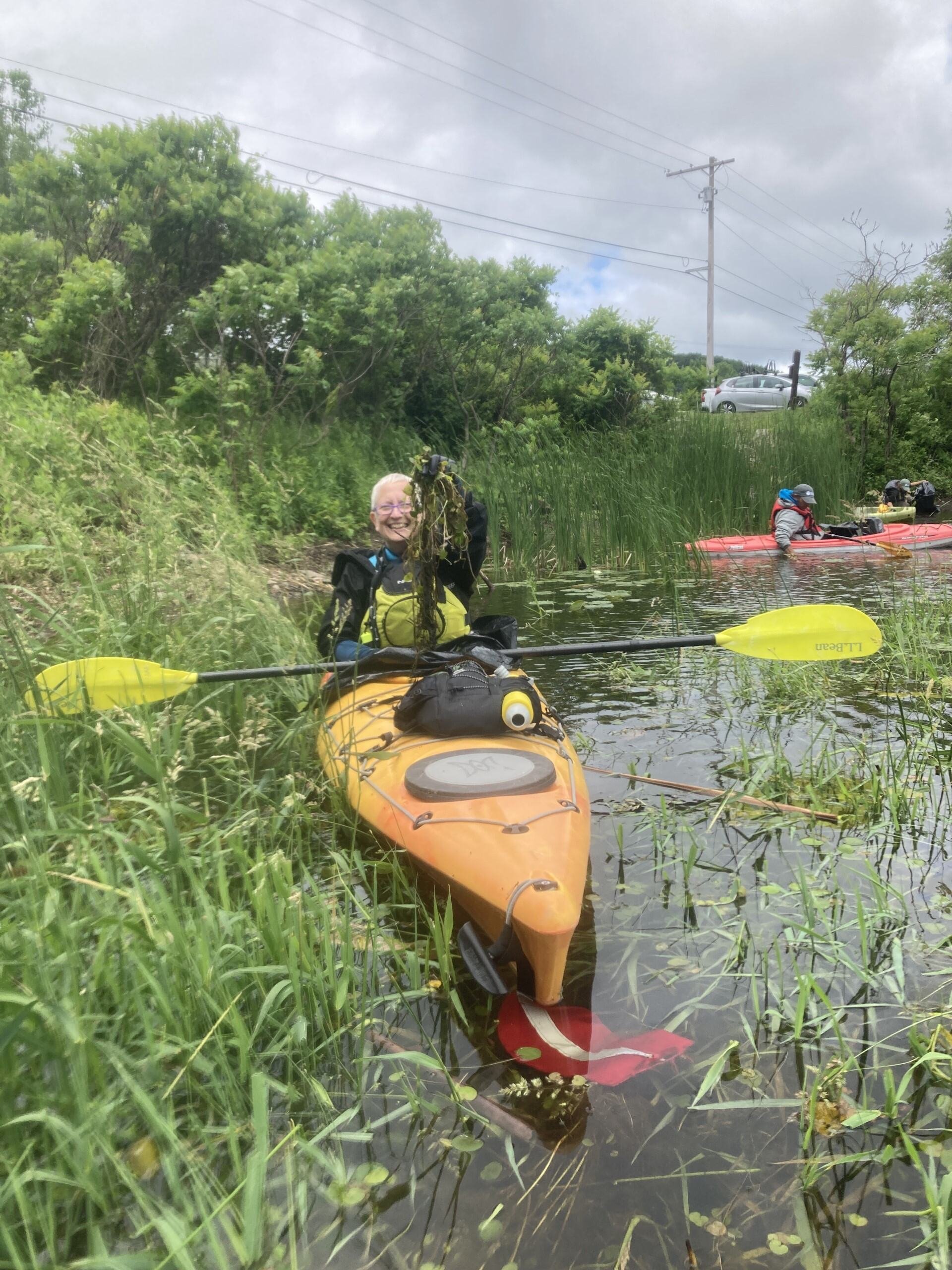 Frog-bit Fun in Weaver Lake