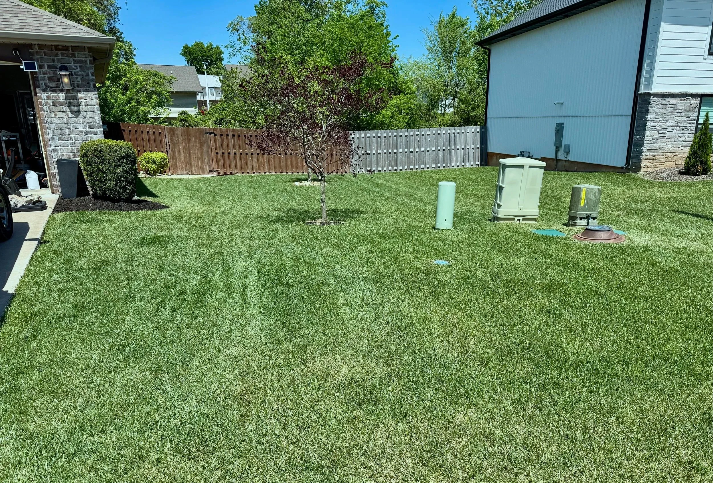 A backyard with green grass, a small tree, a wooden fence, and two neighboring houses with siding and brick accents under a clear blue sky.