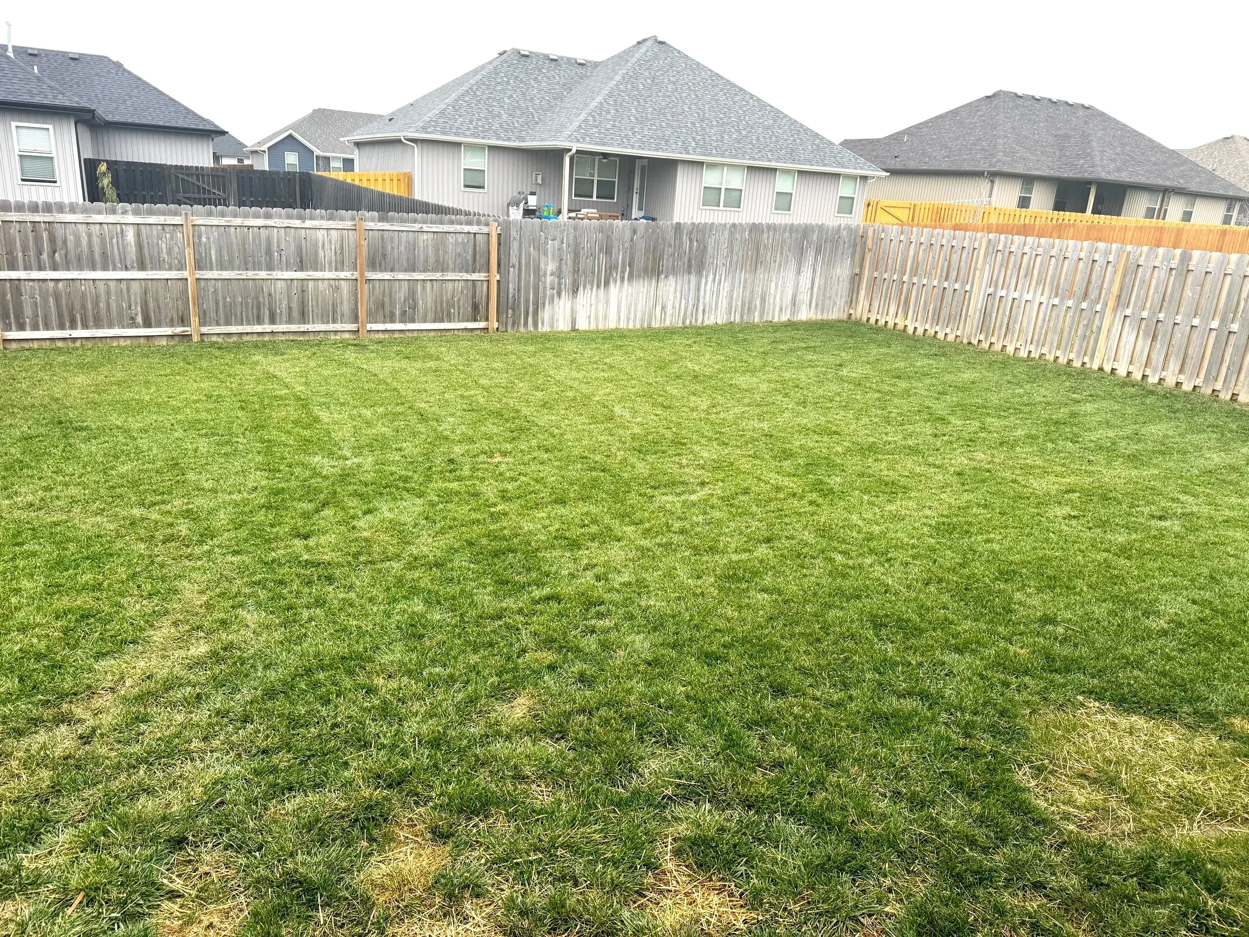 A backyard with a green lawn enclosed by a wooden fence, with houses and cloudy sky in the background.