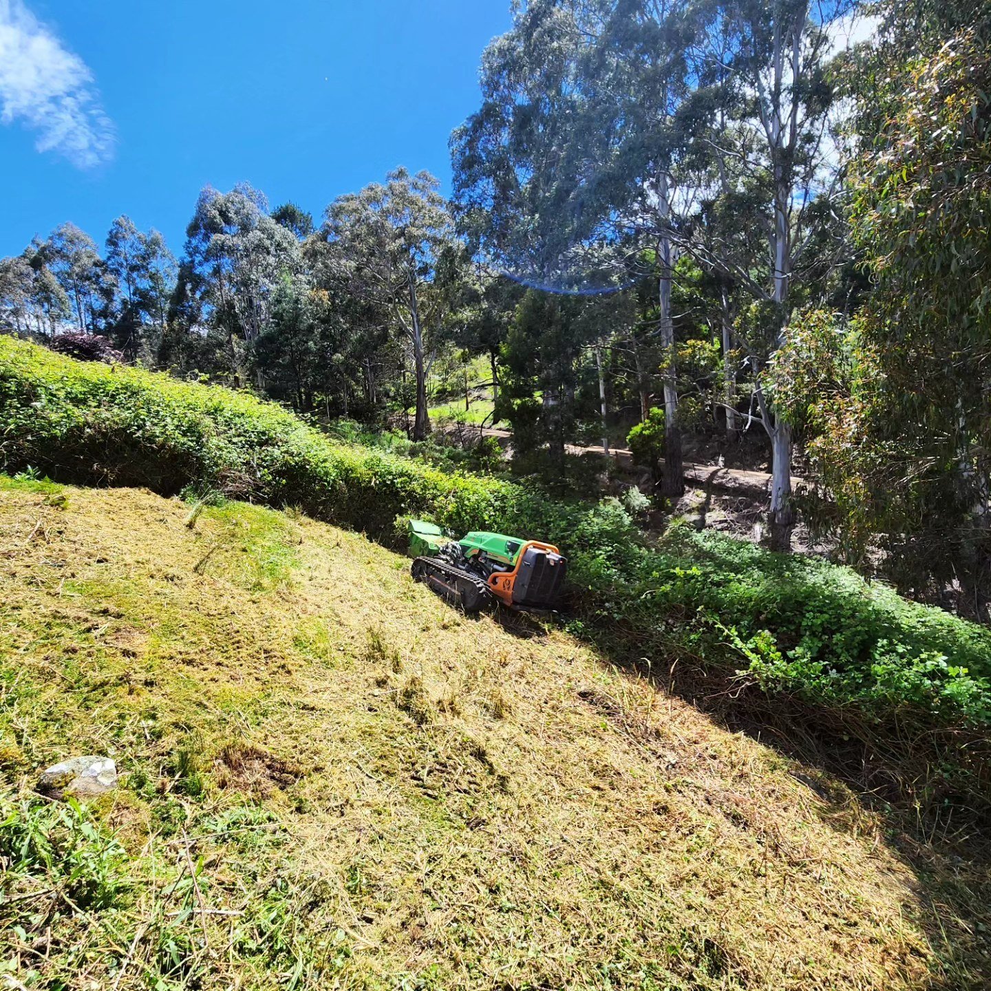 The Green Climber LV 500 PRO is a remote-controlled utility tractor, ideal for operator safety when working in hazardous areas in extreme sloped conditions. Available options include grass or forestry flails for landscape maintenance, clearing road b