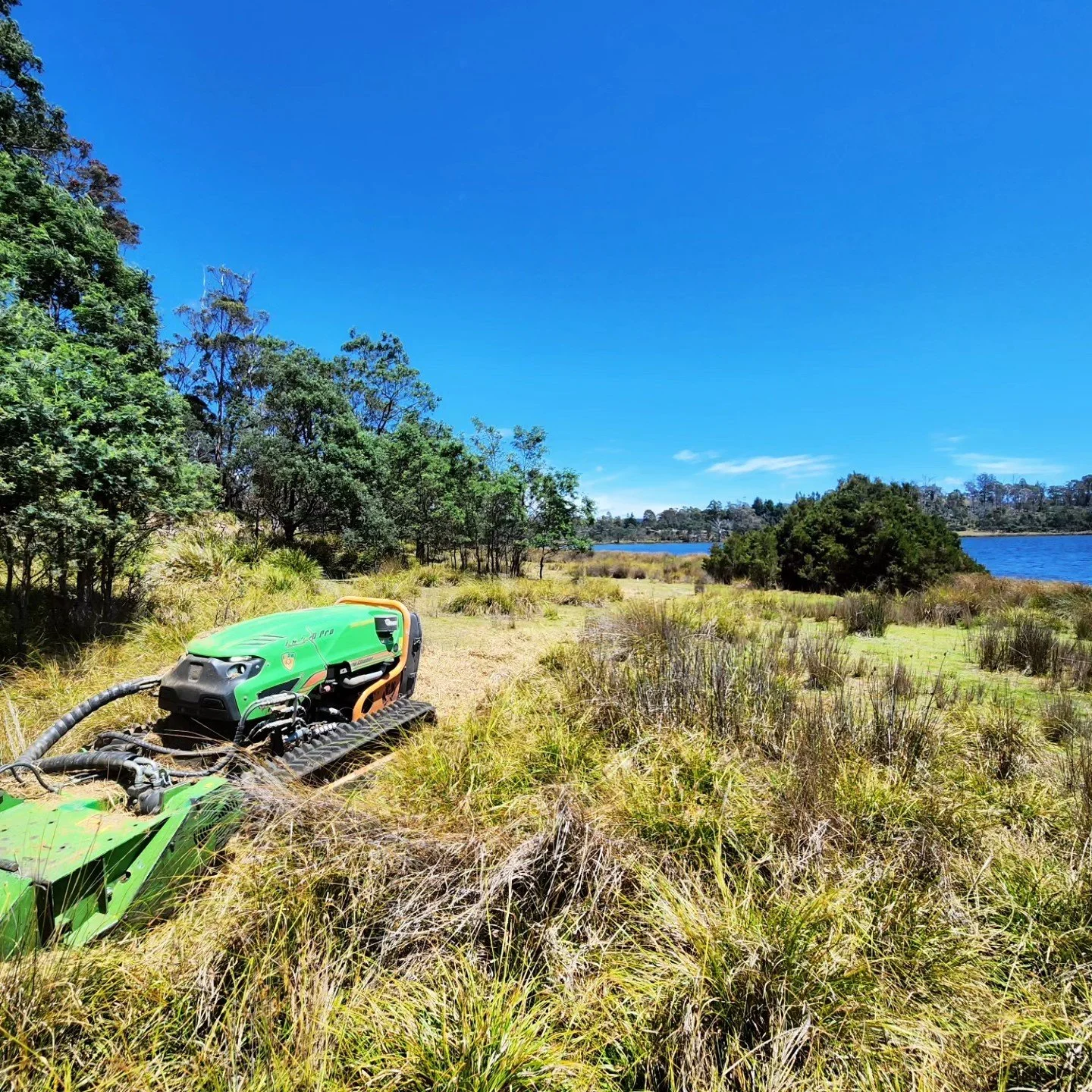 The Green Climber has many uses. From bushfire prevention and mitigation, clearing of weeds, saplings and bushes, &hellip; But it can also clear a tract of land to allow for planting of new trees without them being smothered by weeds. So it can clear