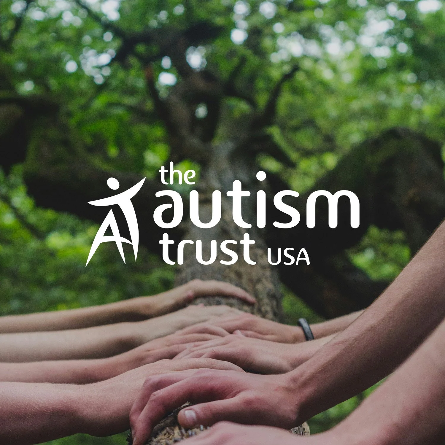 The Autism Trust USA