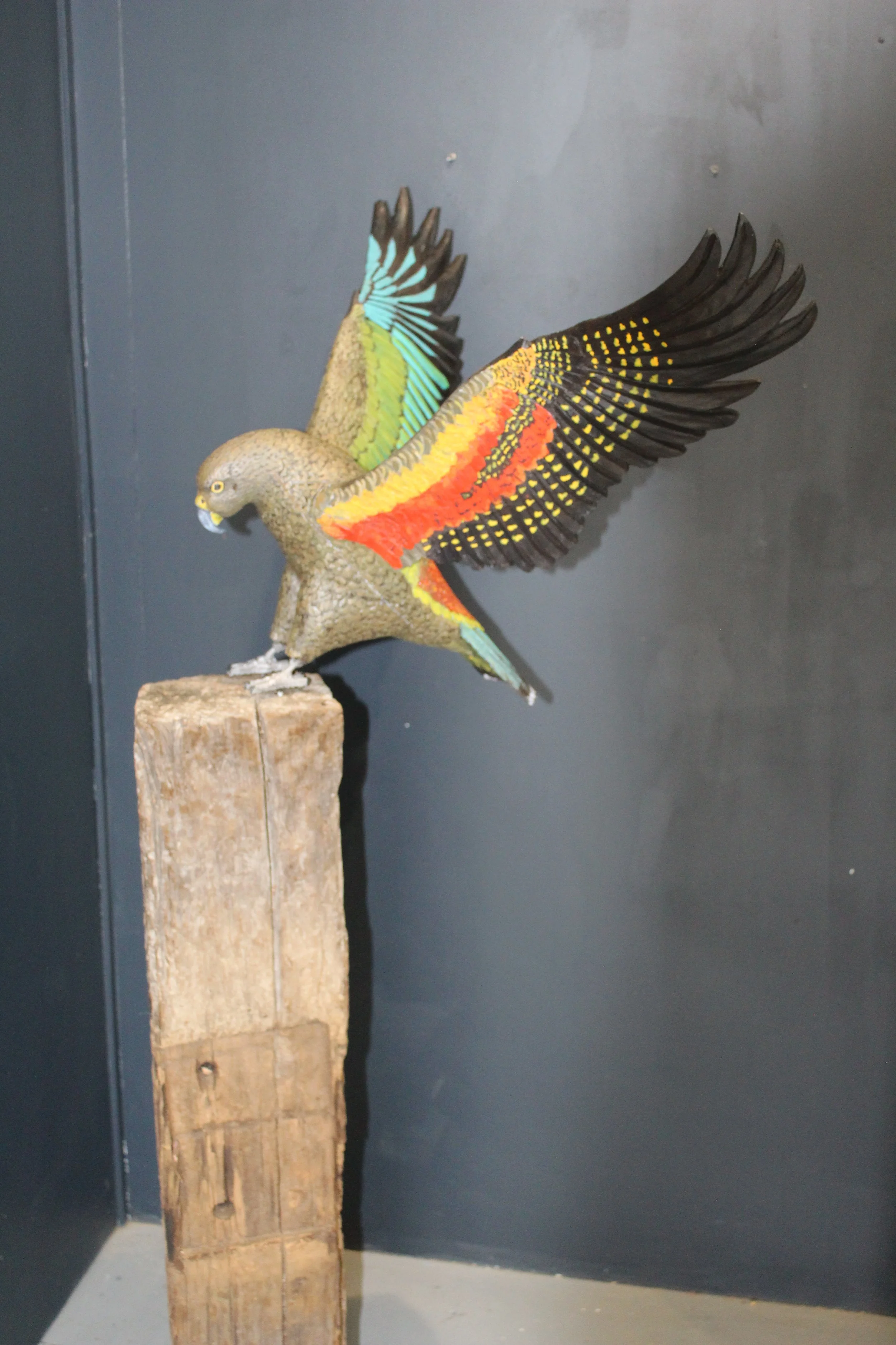 IMG_5545 - Copy.JPG