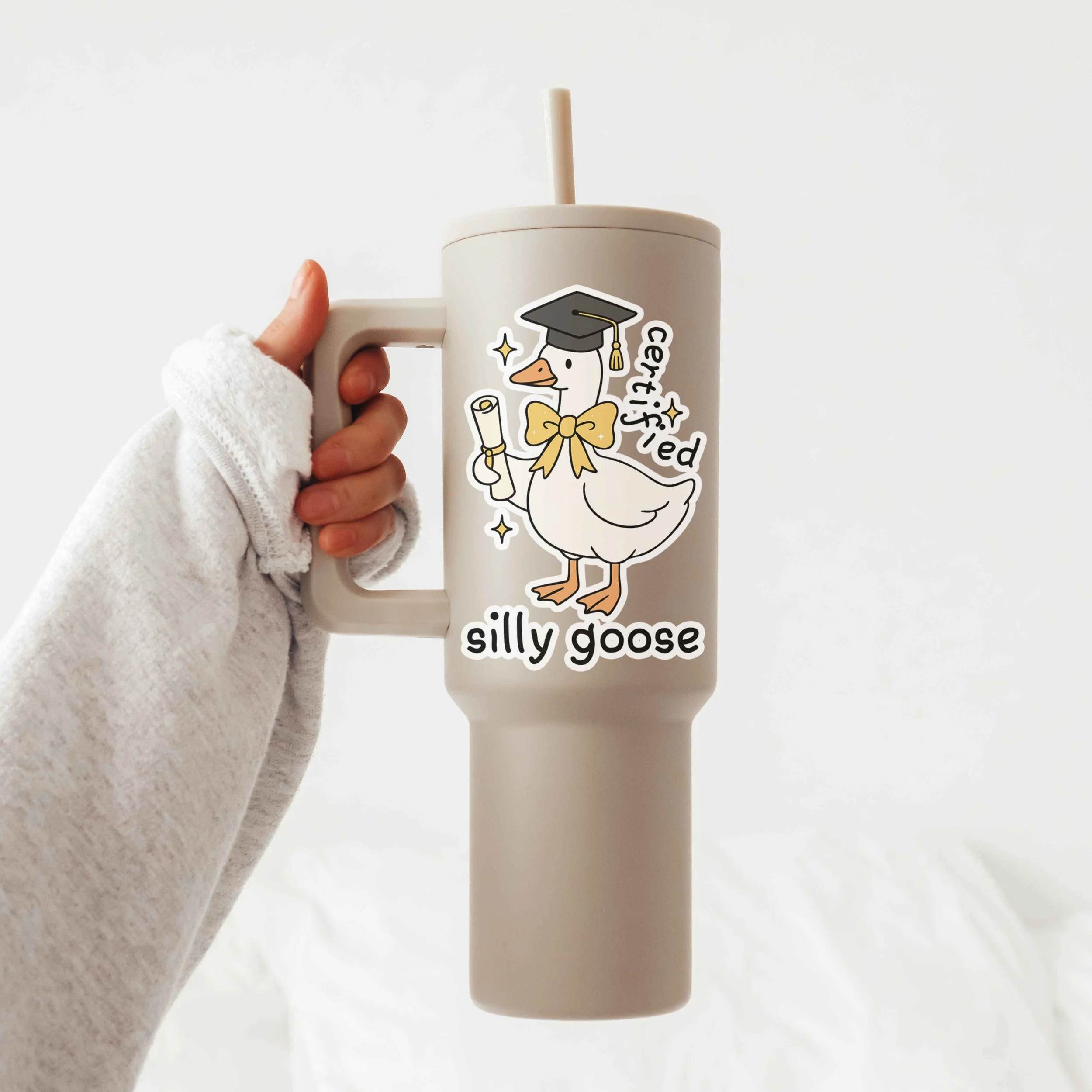 certified silly goose.jpg