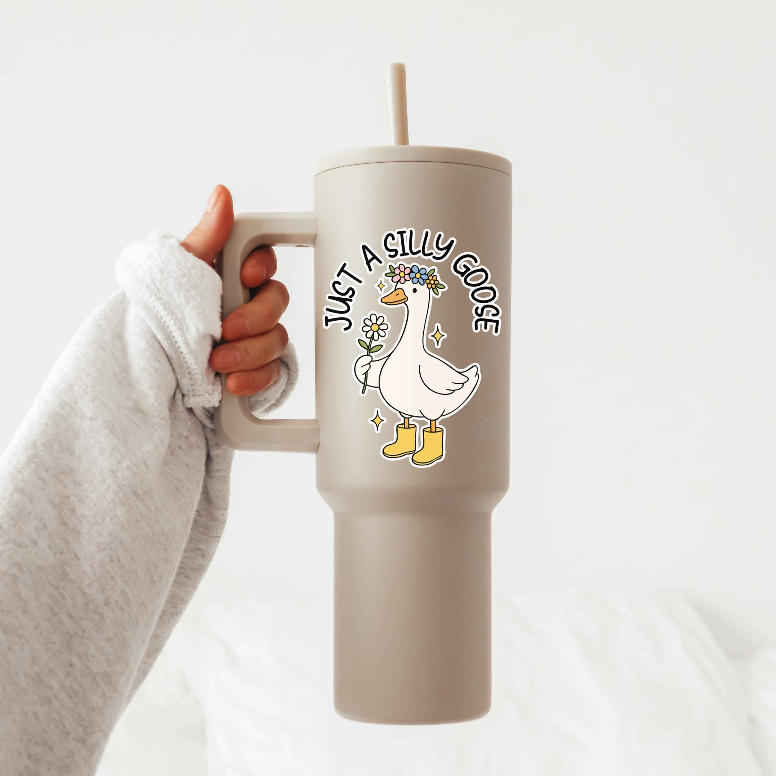 Silly goose.jpg
