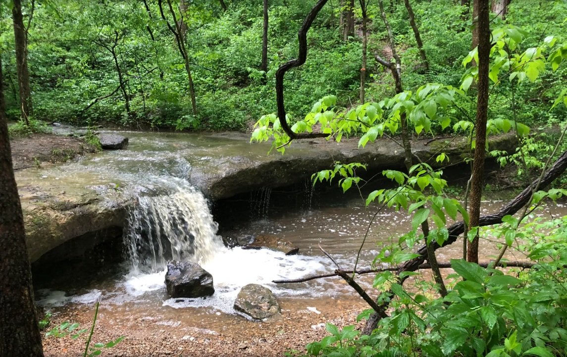 Glassberg Family Conservation Area Trail