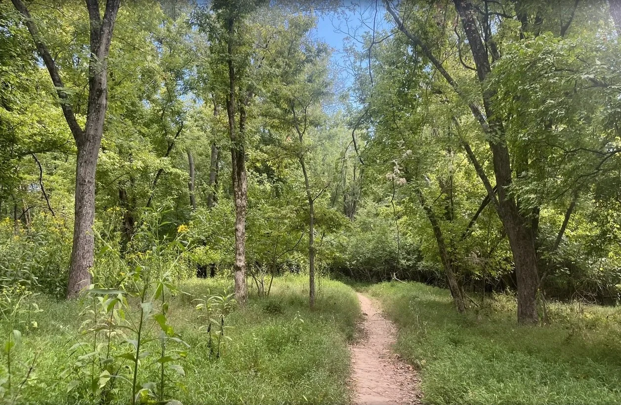 Grotpeter Trail - Castlewood State Park