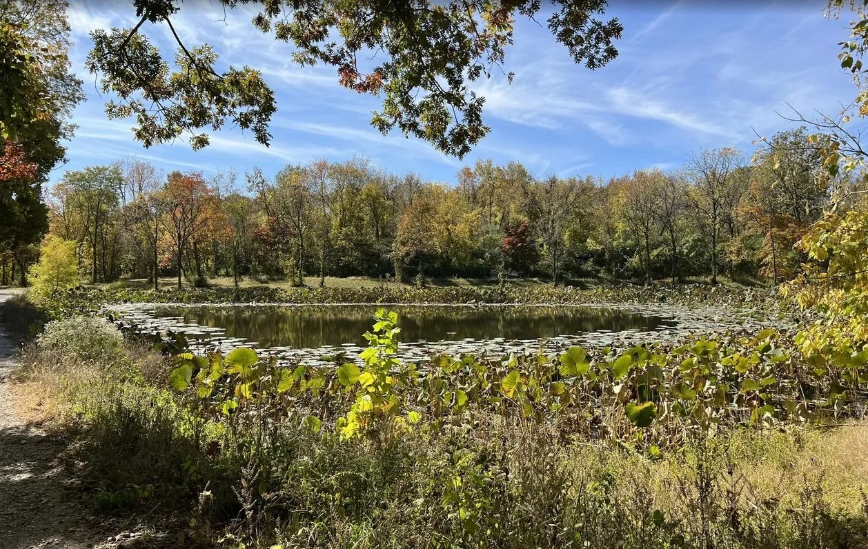 Hawk Ridge Trail - Queeny County Park