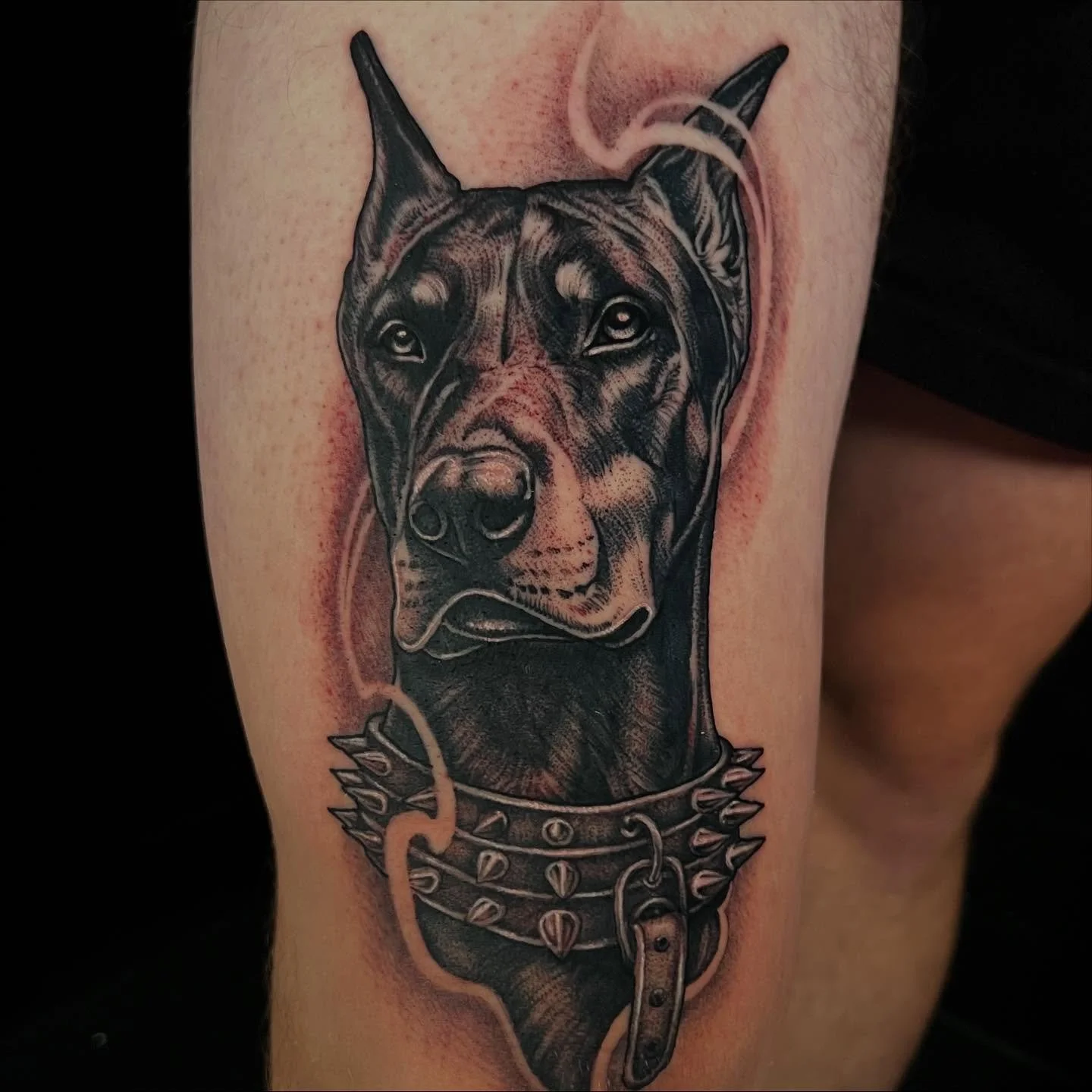 Doberman memorial for Jalen❤️ I&rsquo;d absolutely love to capture more of your fur babies in this style. This was his first tattoo and he sat like a pro! Thanks for looking🥰
.
#portraittattoo #doberman #dogtattoo #memorialtattoo #neotraditional #il