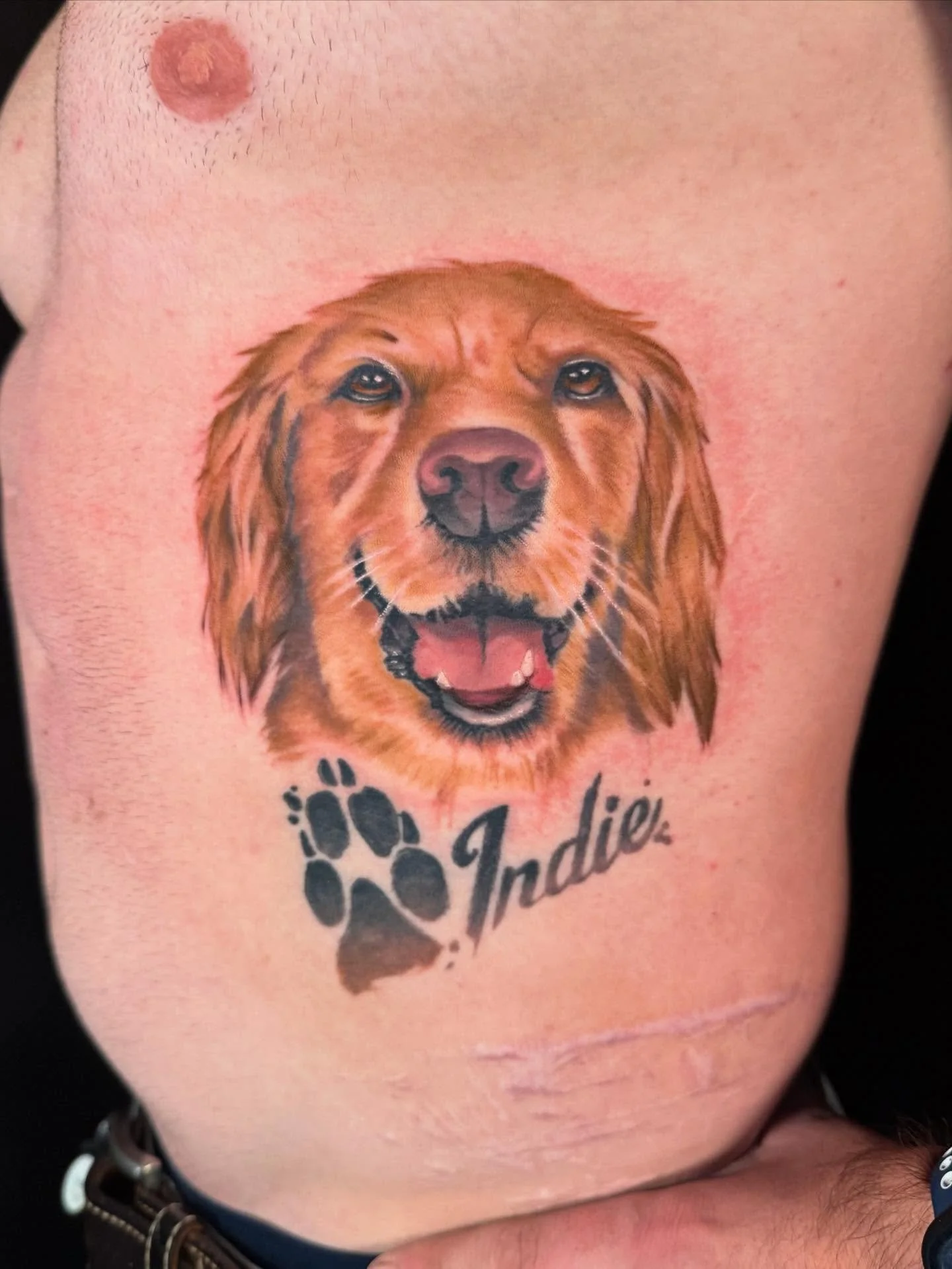 Portait for Jacob of his sweet service girl Indie! She hung out with us during this piece and was such a precious companion! I&rsquo;d love to do more doggie portraits 😍❤️ this piece was a mixture of healed and fresh, and we did two sessions on it :