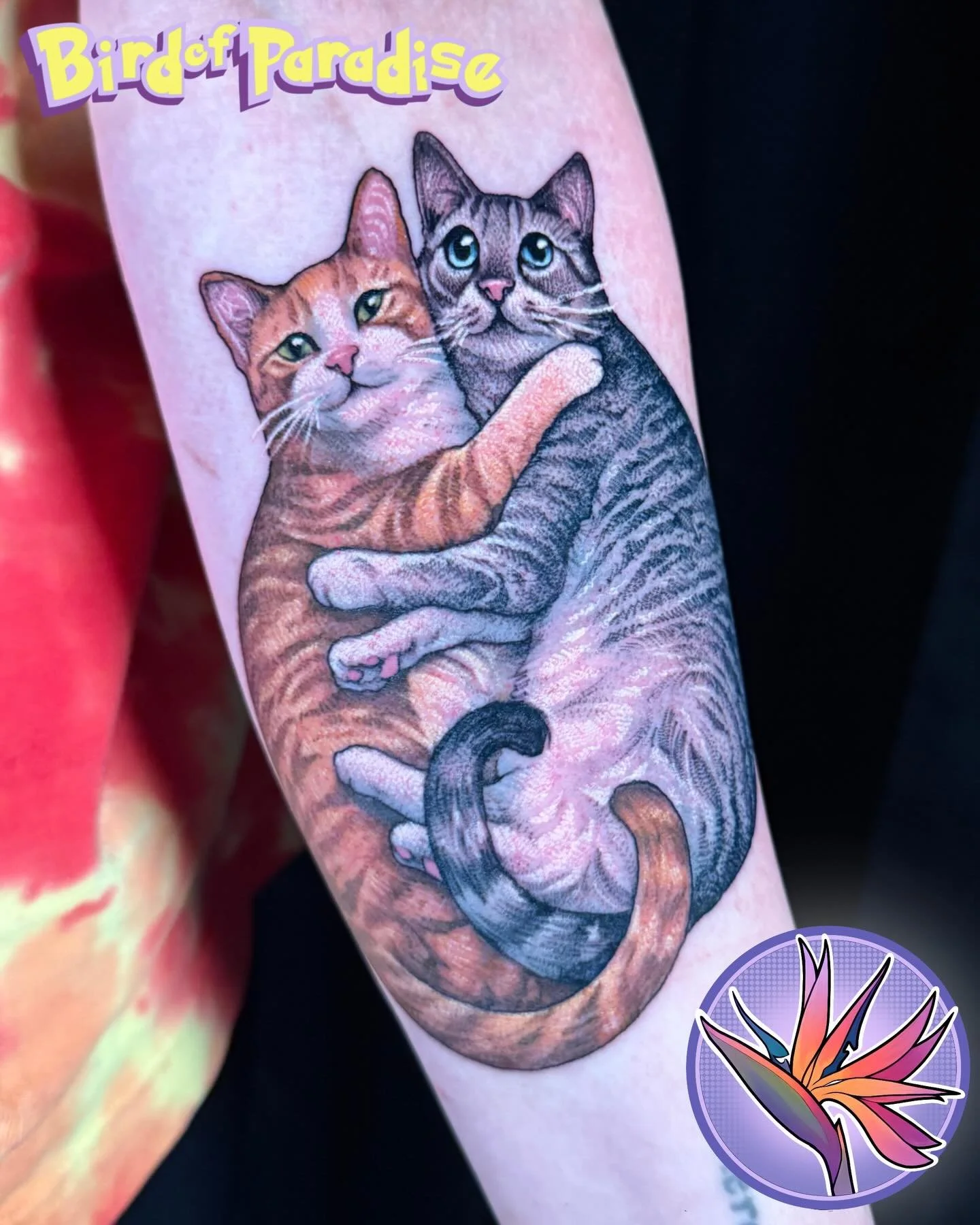 Gregory🧡 and Roger🩶
 I&rsquo;m dying to do more portraits like this! These turned out so stinking cute 🥹 the last slide is a great example of the references I had for a piece like this! I love that you can clearly see each personality 🥰 thanks fo