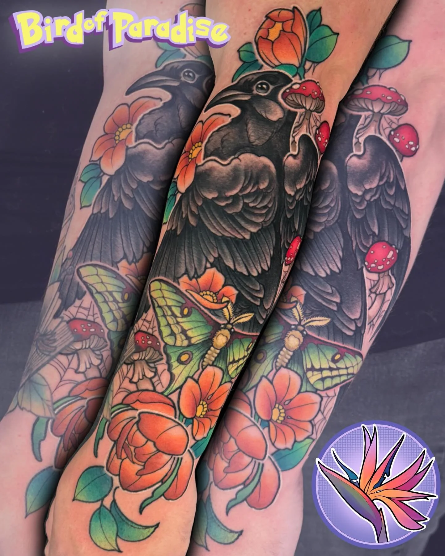 Spooky crow and moth arm piece ❤️ we did this piece in 5 hours total! I love a classic neotrad piece with some critters🥰 my books are always open! Link in bio🌸
.
#utahtattooartist #utahtattooshop #utahartist #royutah #neotraditional