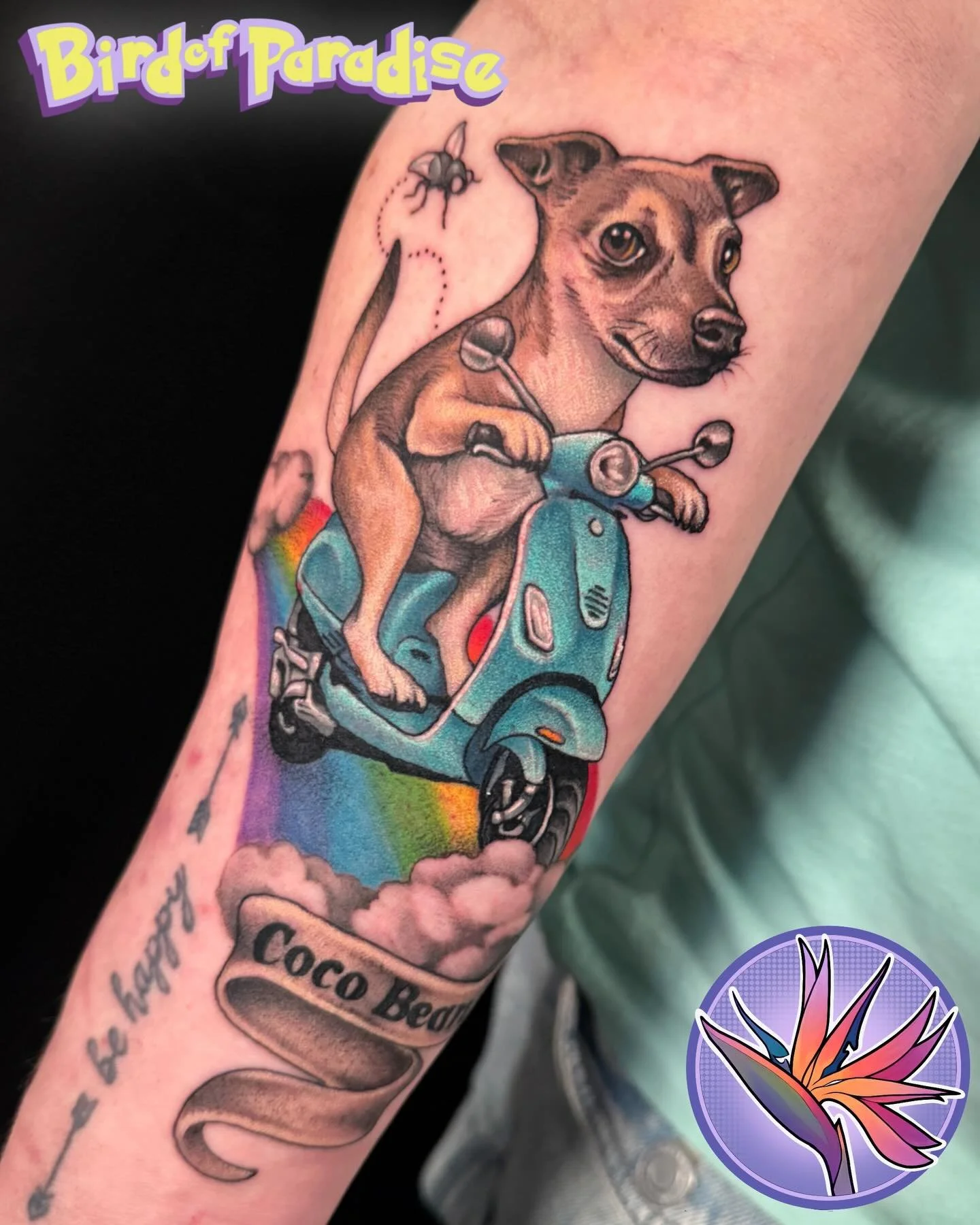 Coco bean the scooter riding fly catcher ❤️ I always love when people make the loss of a loved one into something special. Sweet baby coco bean will forever be on the rainbow bridge doing something she loved ❤️ thanks for looking!
