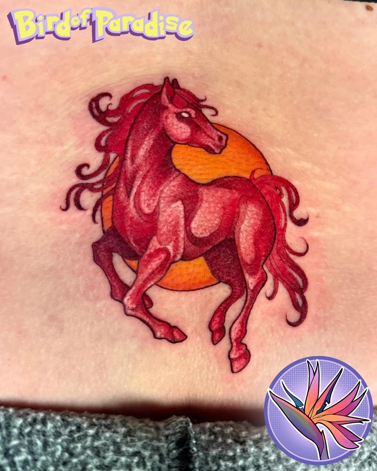 Year of the Horse for @emz_ink ❤️❤️ a good luck charm for the Chinese new year❤️🥰 I will always love tattooing some little critters❤️ books are open and link in bio!