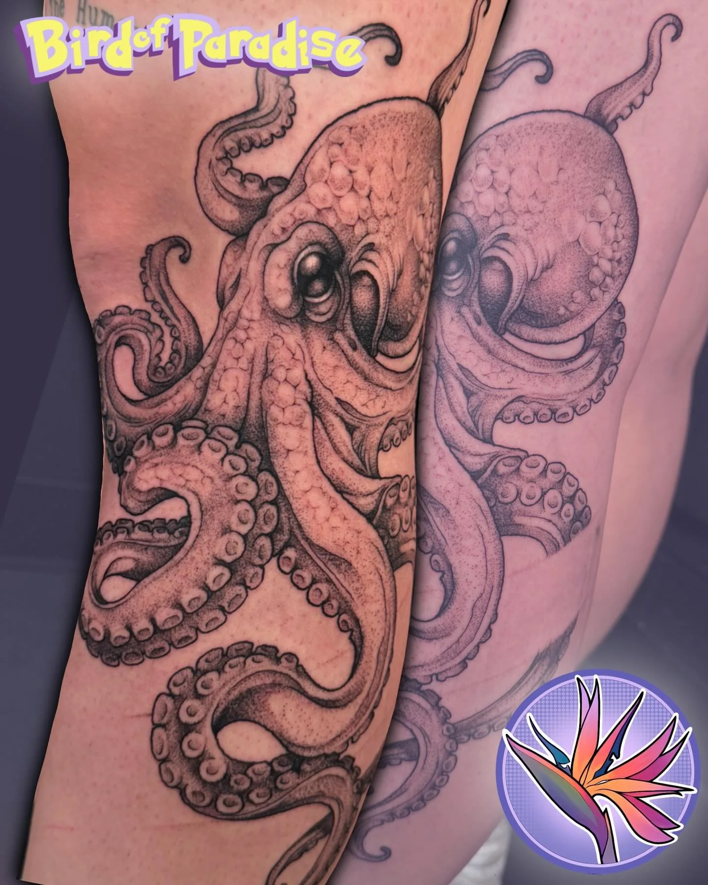 Cute lil knee Octo for Karlee 🥰 I&rsquo;m dying to do more critters in this style! My books are always open, link in bio🥰 #utahtattoo #utahartist #octopustattoo #blackandgraytattoo