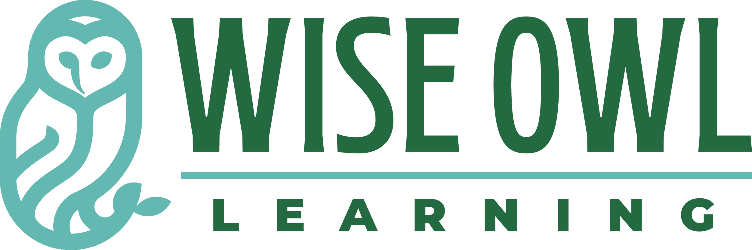 Wise Owl Pictures
