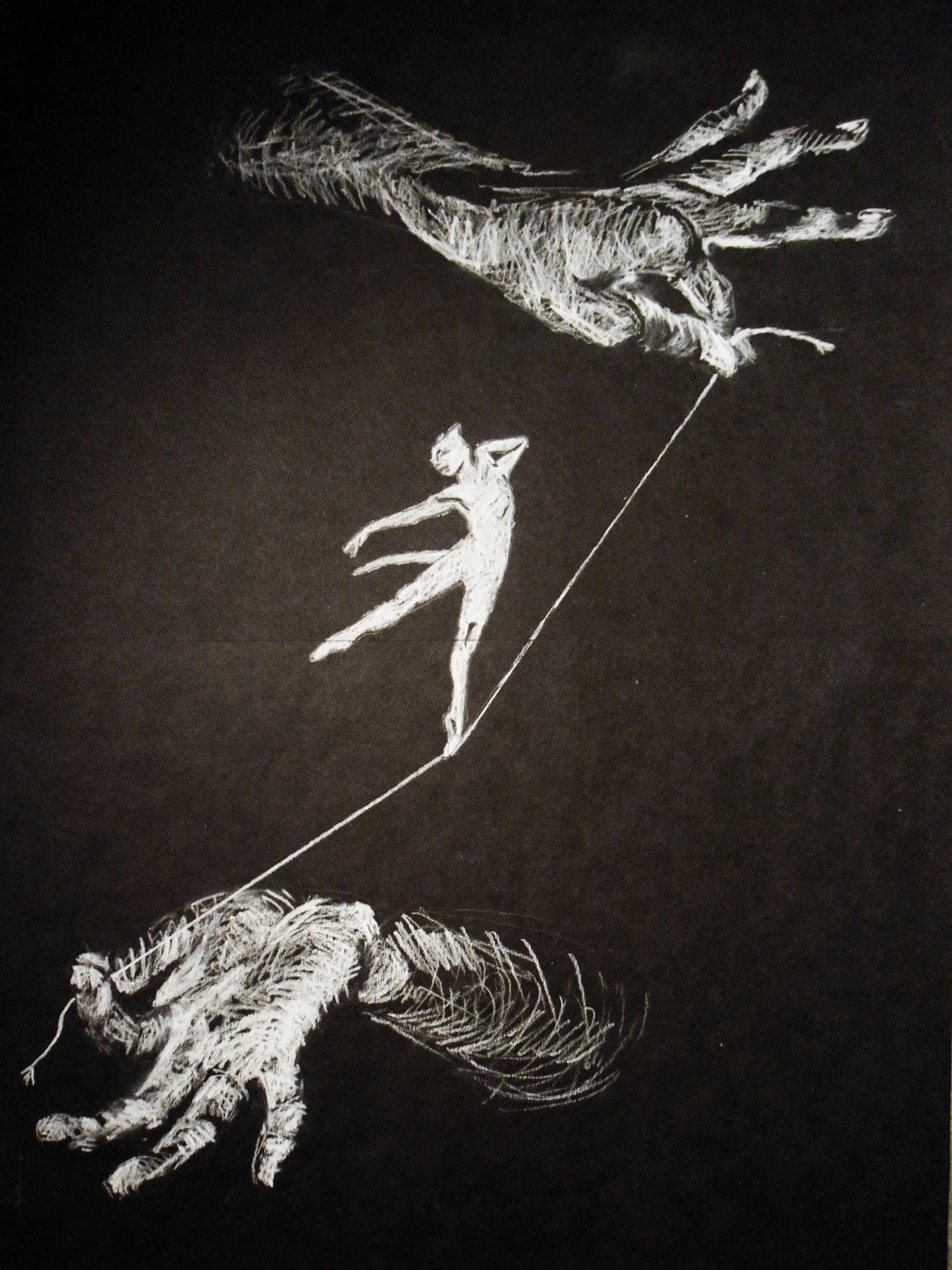 "Nine Lives" 2014
11"x14"
Charcoal on Paper