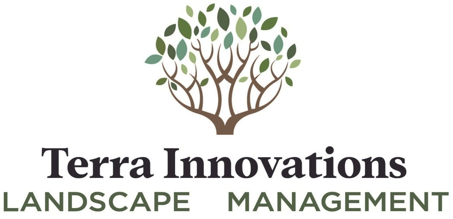 Terra Innovations Landscape Management 