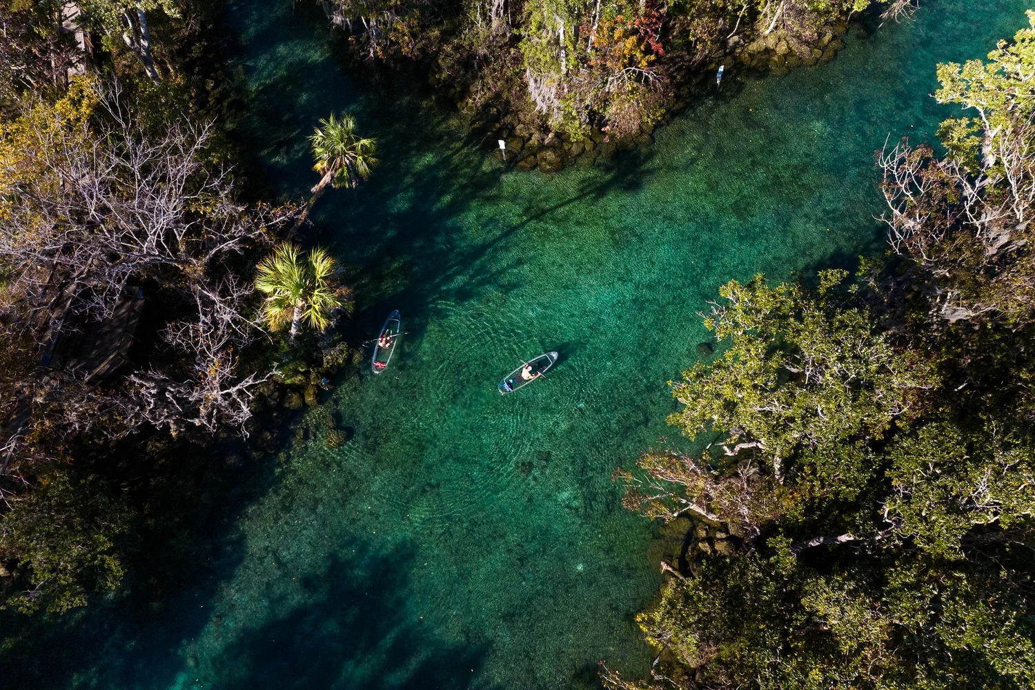 Aerial Tampa Bay