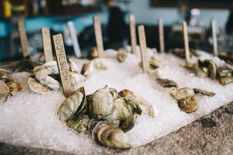 Oysters on ice