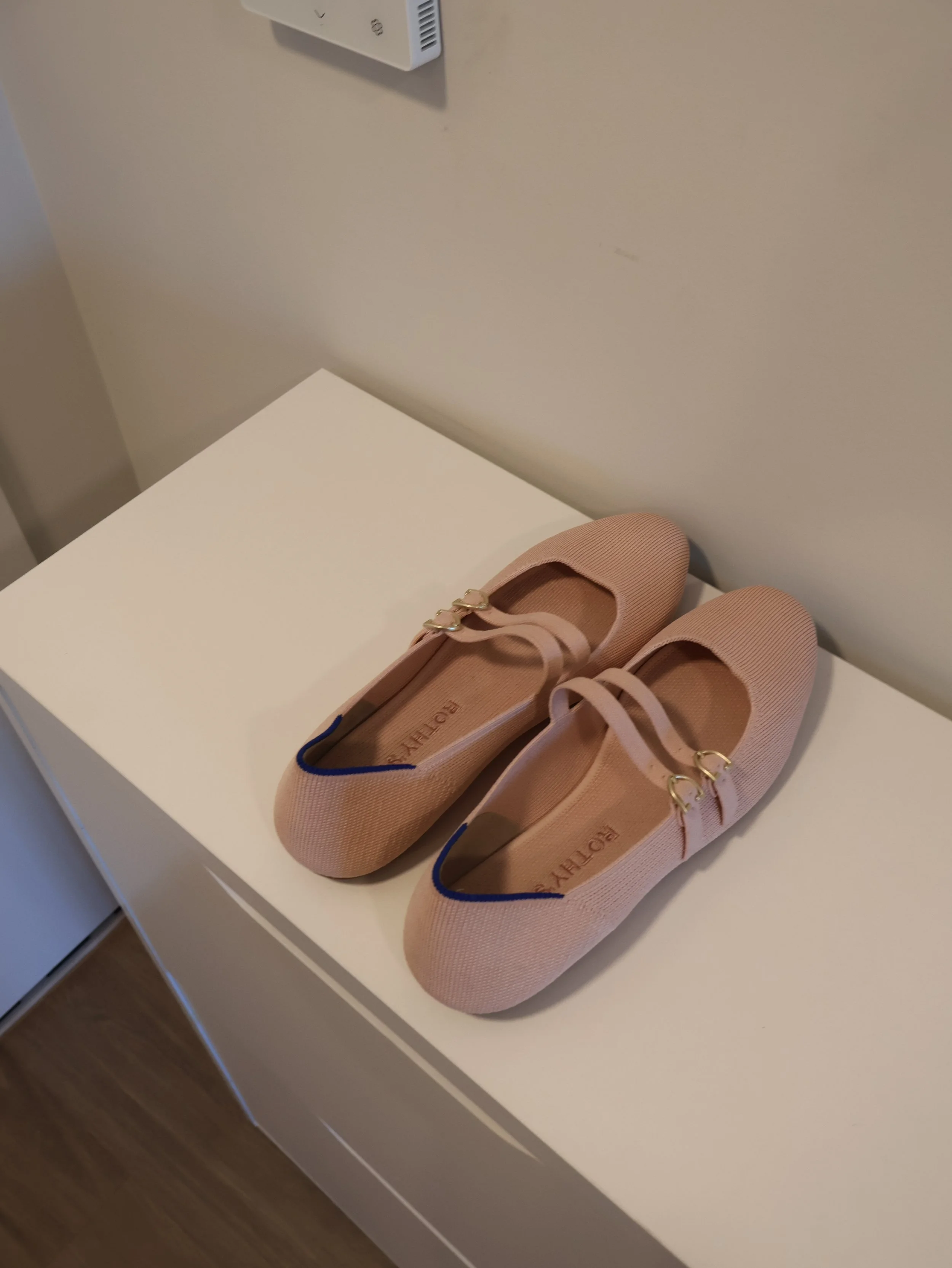 Rothys Mary Jane Shoes