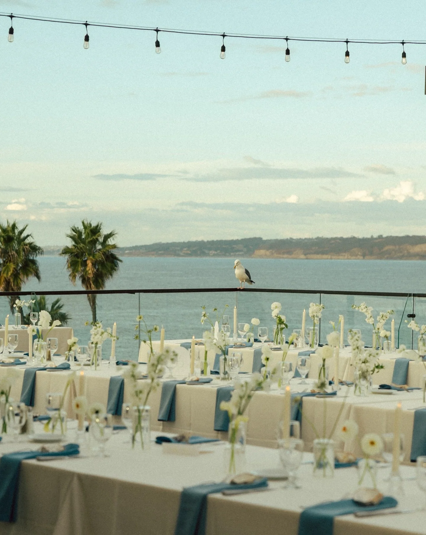 Details from the most beautiful coastal wedding in November 🐬🐟🐳🐚

Venue: La Jolla Cove Rooftop
Photo: @karsoncalaphoto 
Planner: @cailincaegweddings