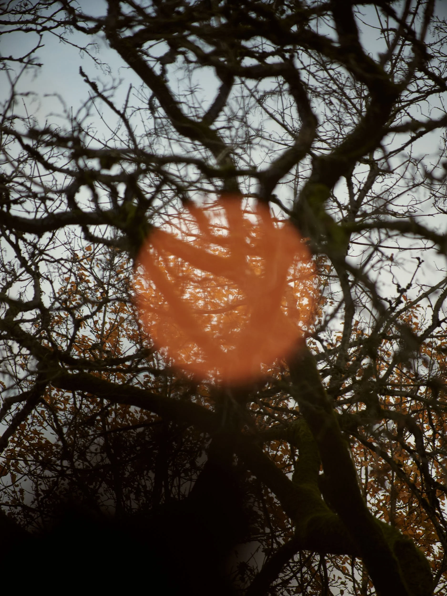 Photograph from There Is No Death - Jason Hendardy