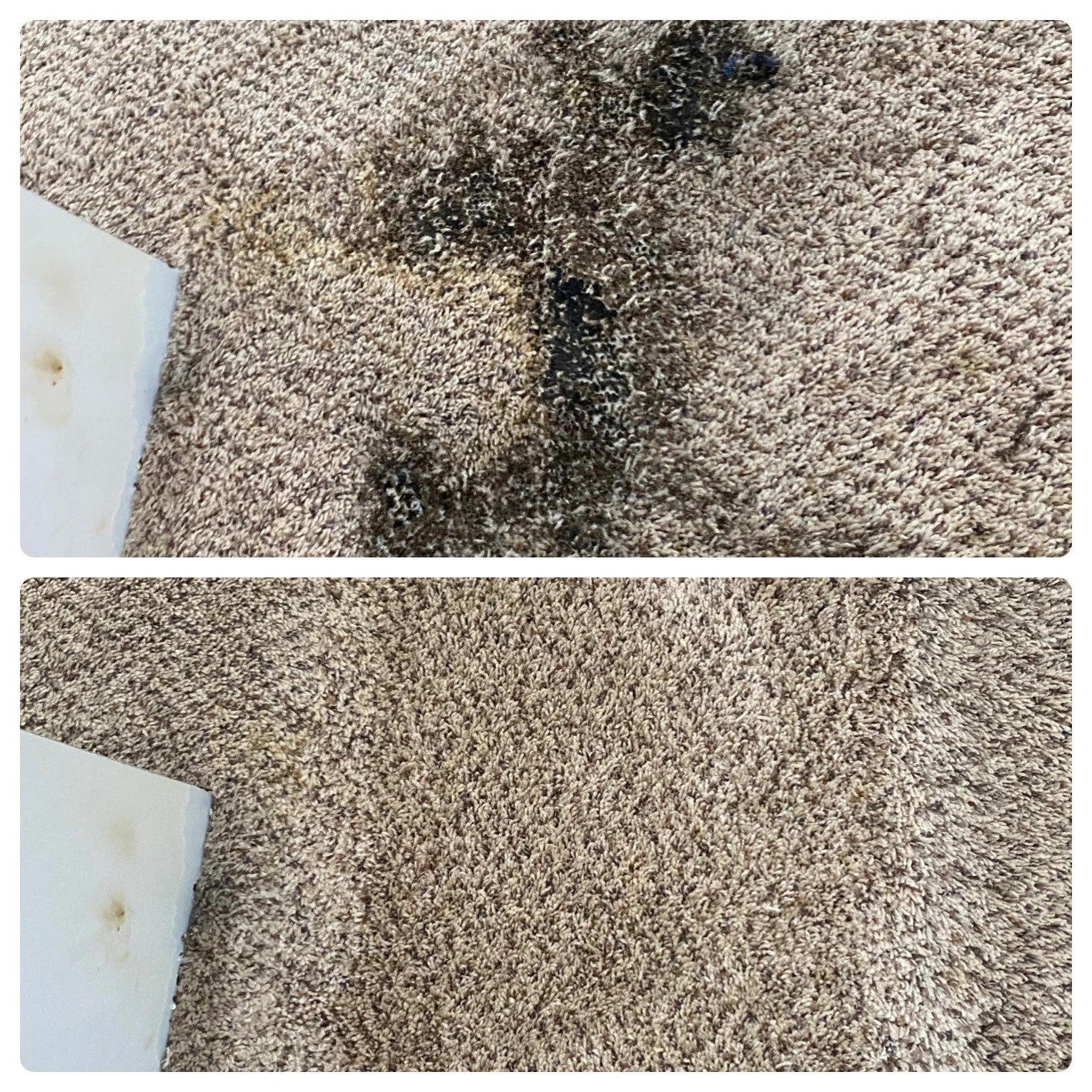 J C Lee's Carpet Care Professional Carpet Cleaning Carpet Repair