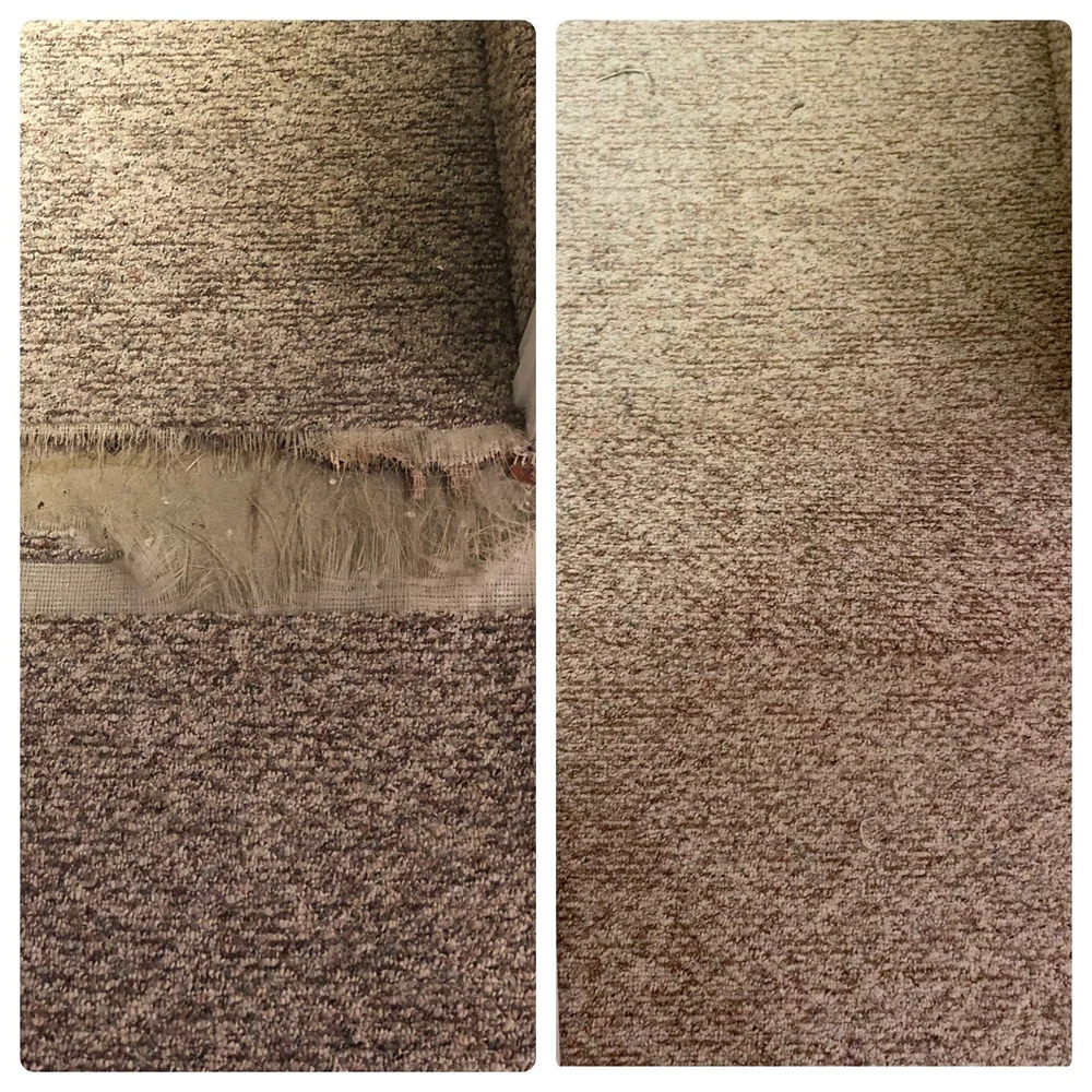 J C Lee's Carpet Care Professional Carpet Cleaning Carpet Repair